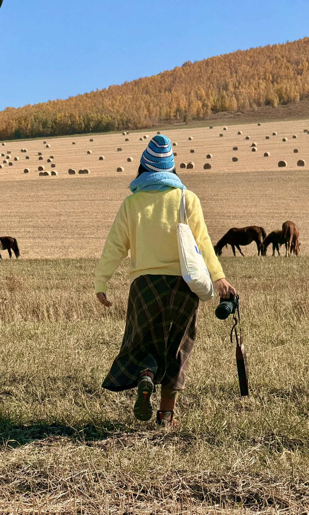这是我见过人生最美的秋天🍂大兴安岭