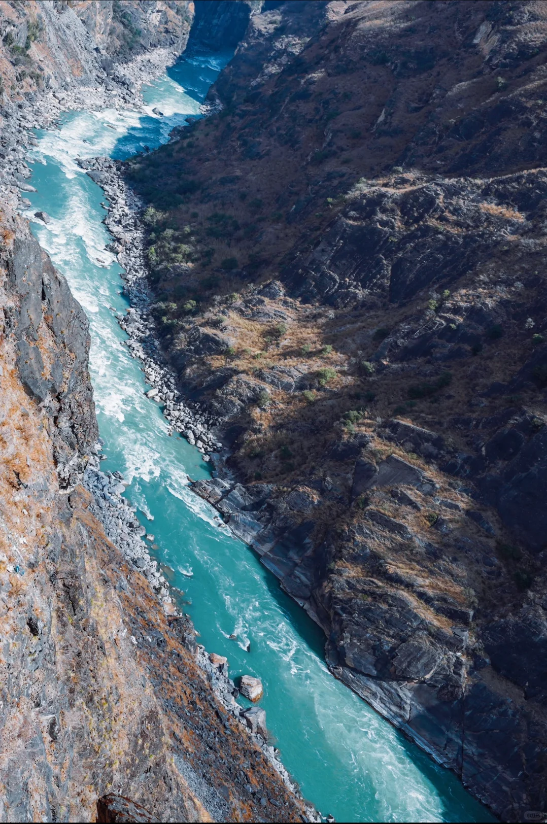 香格里拉一日游，人均100+玩转美景❗️