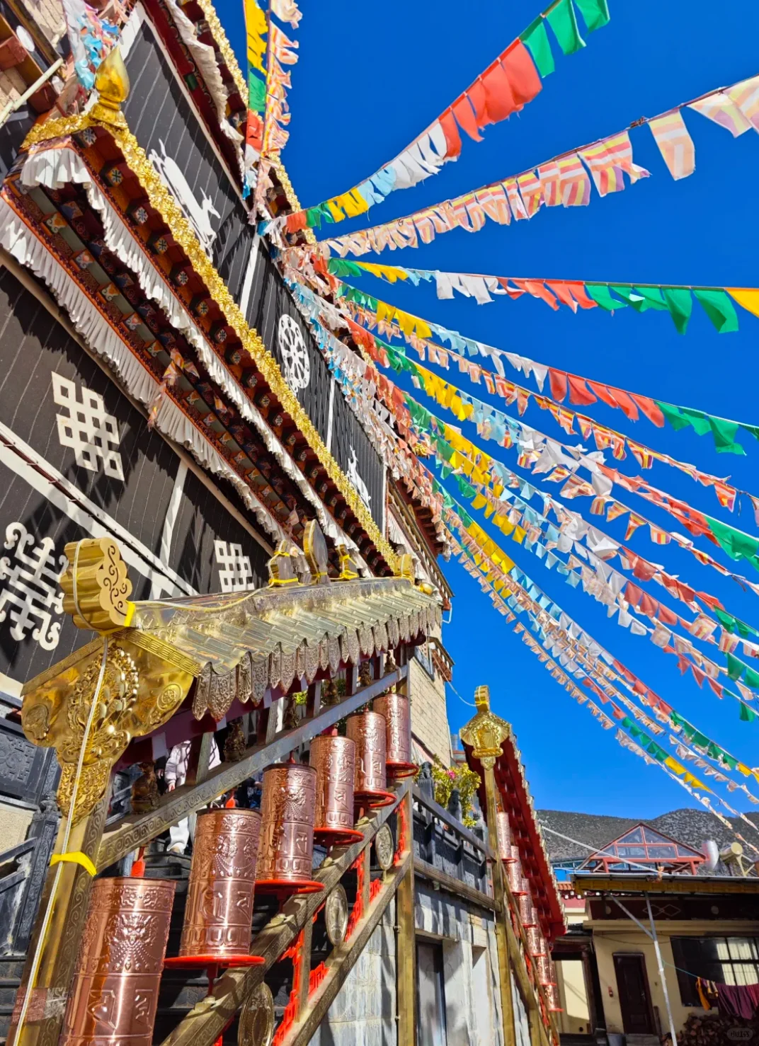 香格里拉一日游，人均100+玩转美景❗️