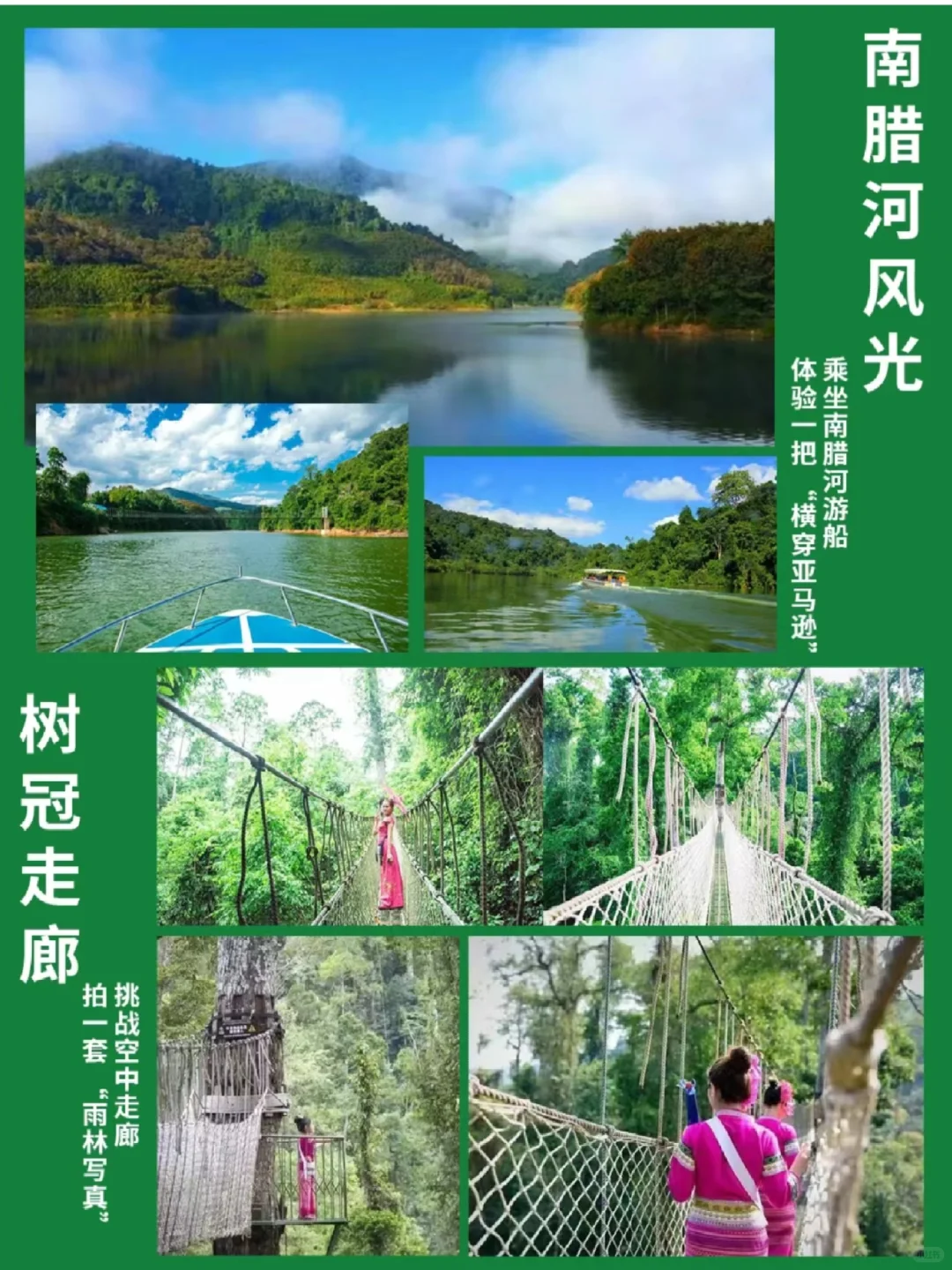 冲冲冲🌲望天树景区套票限时特惠预订