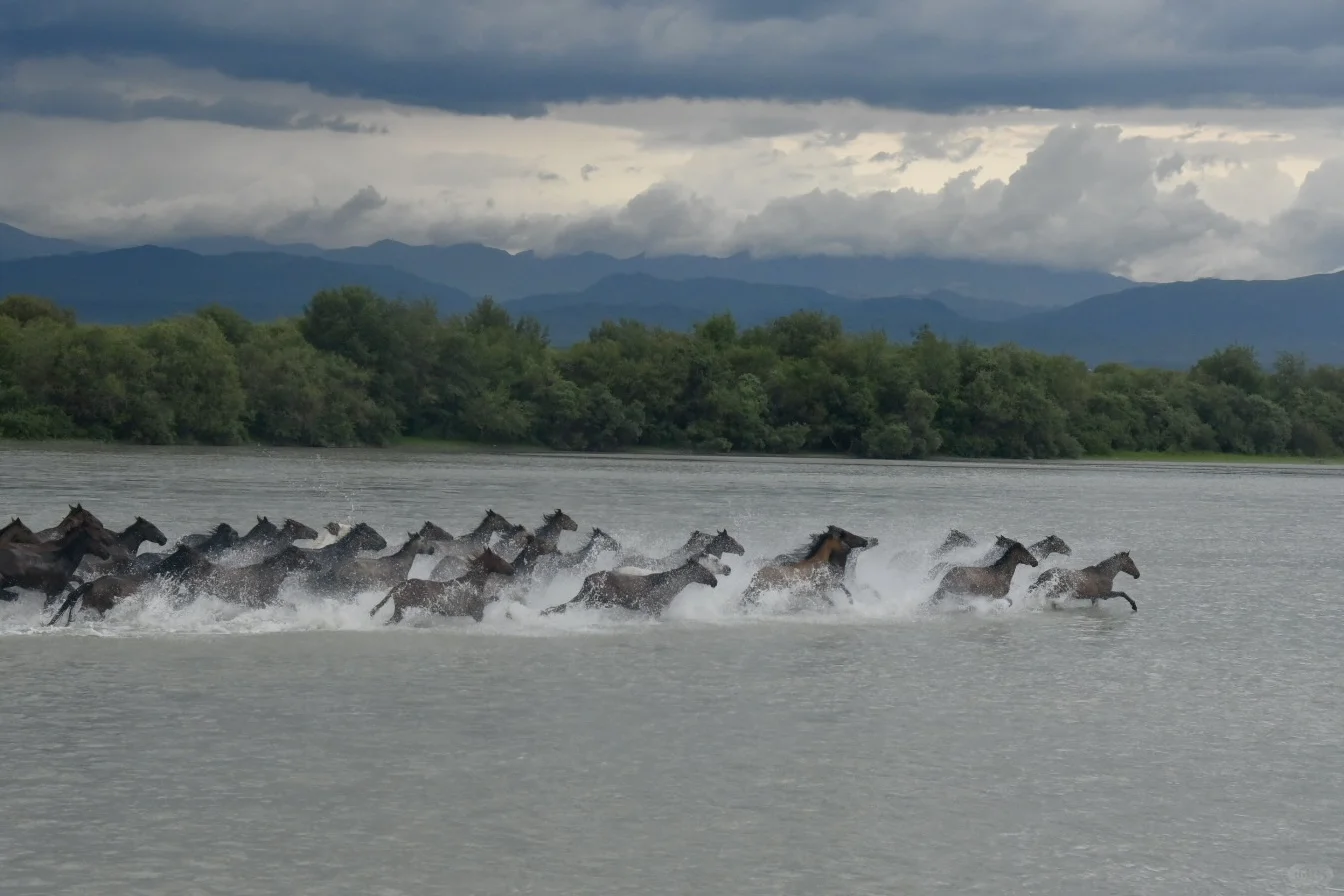 伊犁八天攻略｜伊昭公路+夏塔篇