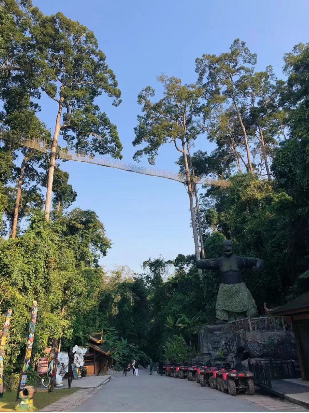 冲冲冲🌲望天树景区套票限时特惠预订