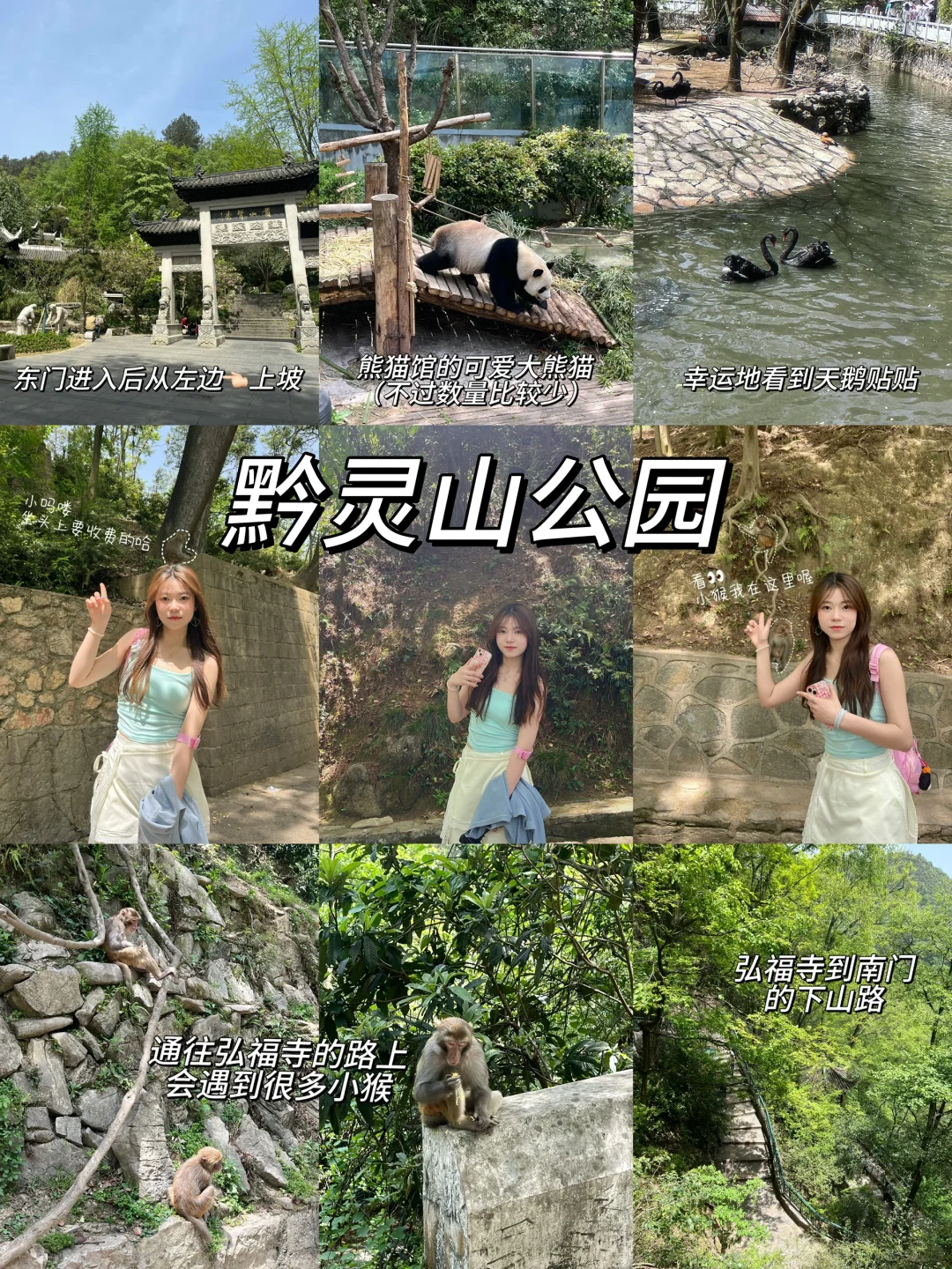 贵阳➕荔波三天两夜人均800保姆级旅游攻略