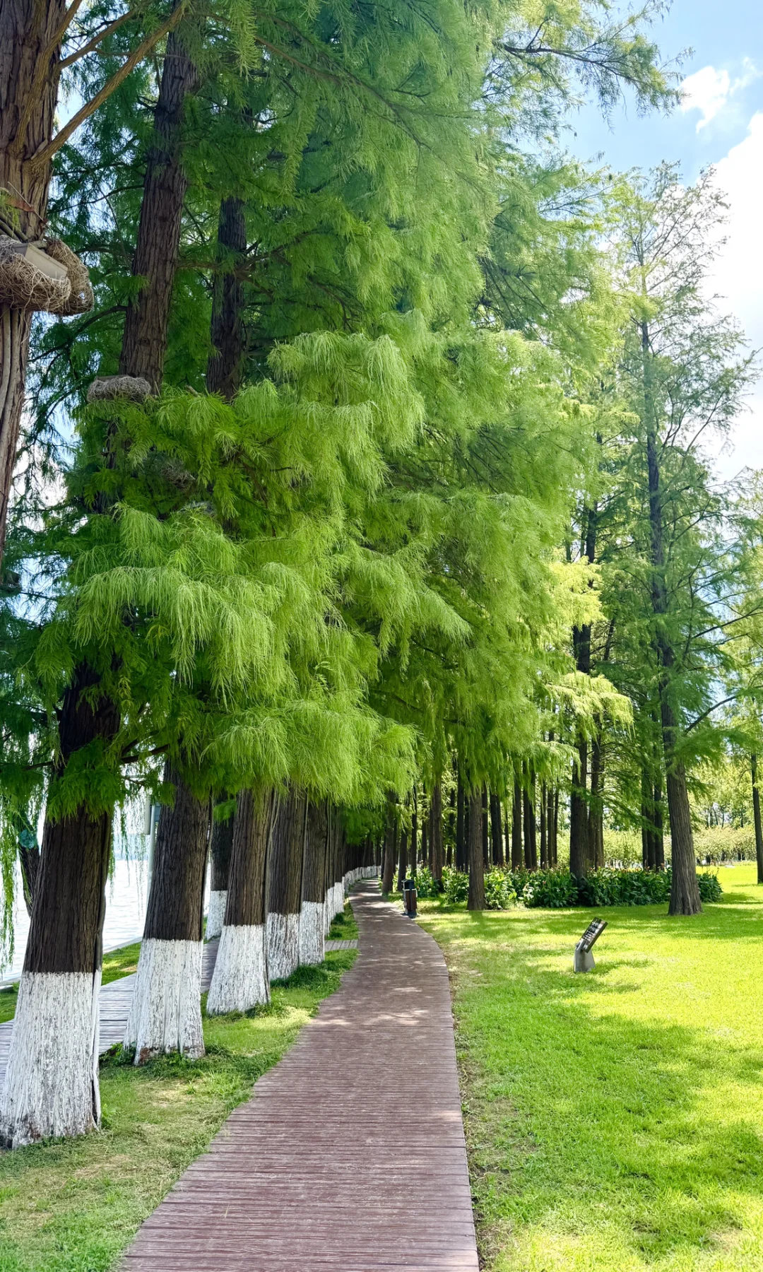 8.16实拍，亲测东湖听涛景区，游玩攻略已整理