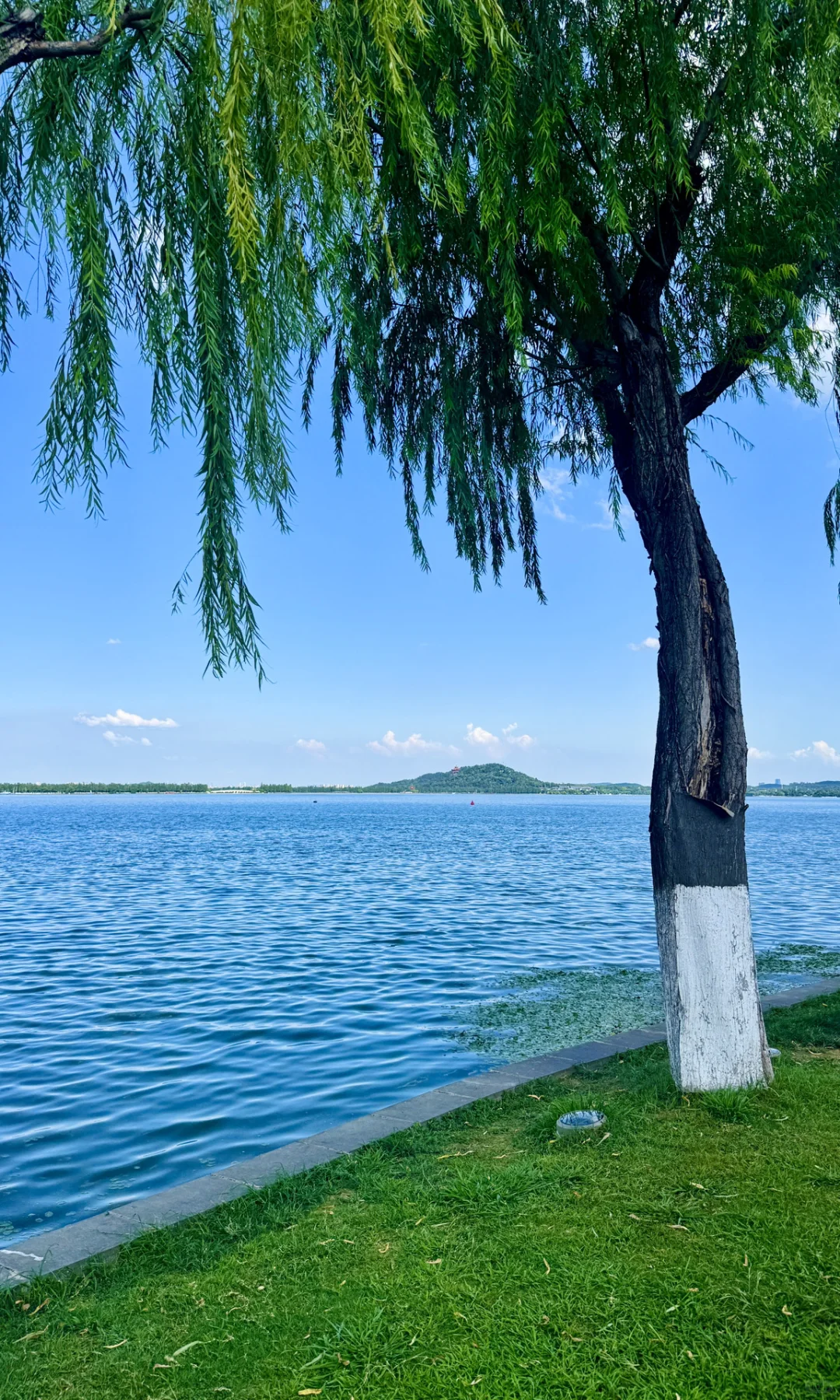 8.16实拍，亲测东湖听涛景区，游玩攻略已整理