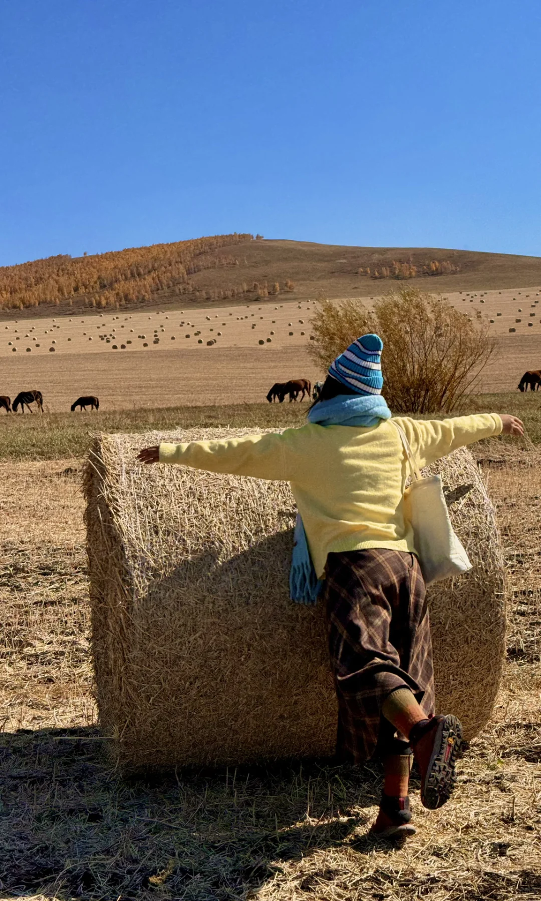 这是我见过人生最美的秋天🍂大兴安岭