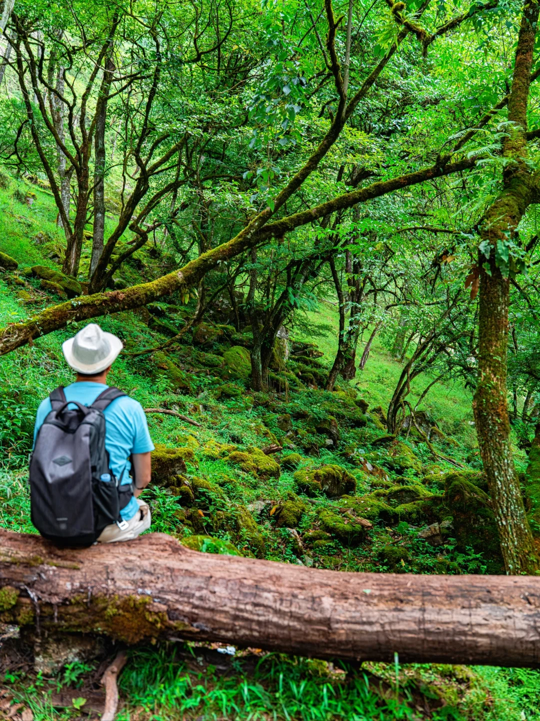 周末48H逃离成都!躲进23℃山里避暑徒步