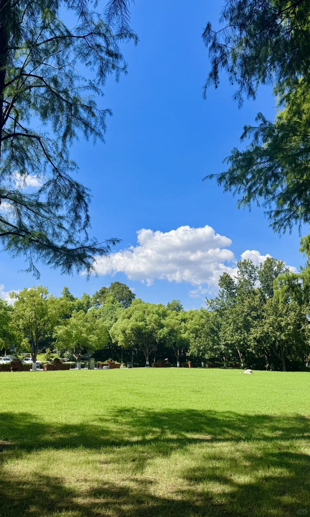 8.16实拍，亲测东湖听涛景区，游玩攻略已整理