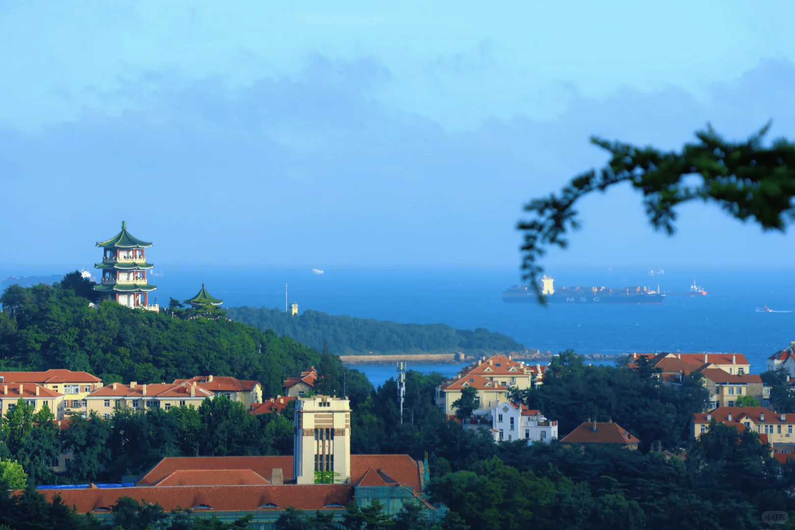 📸 青岛拍照必打卡｜信号山全景点攻略