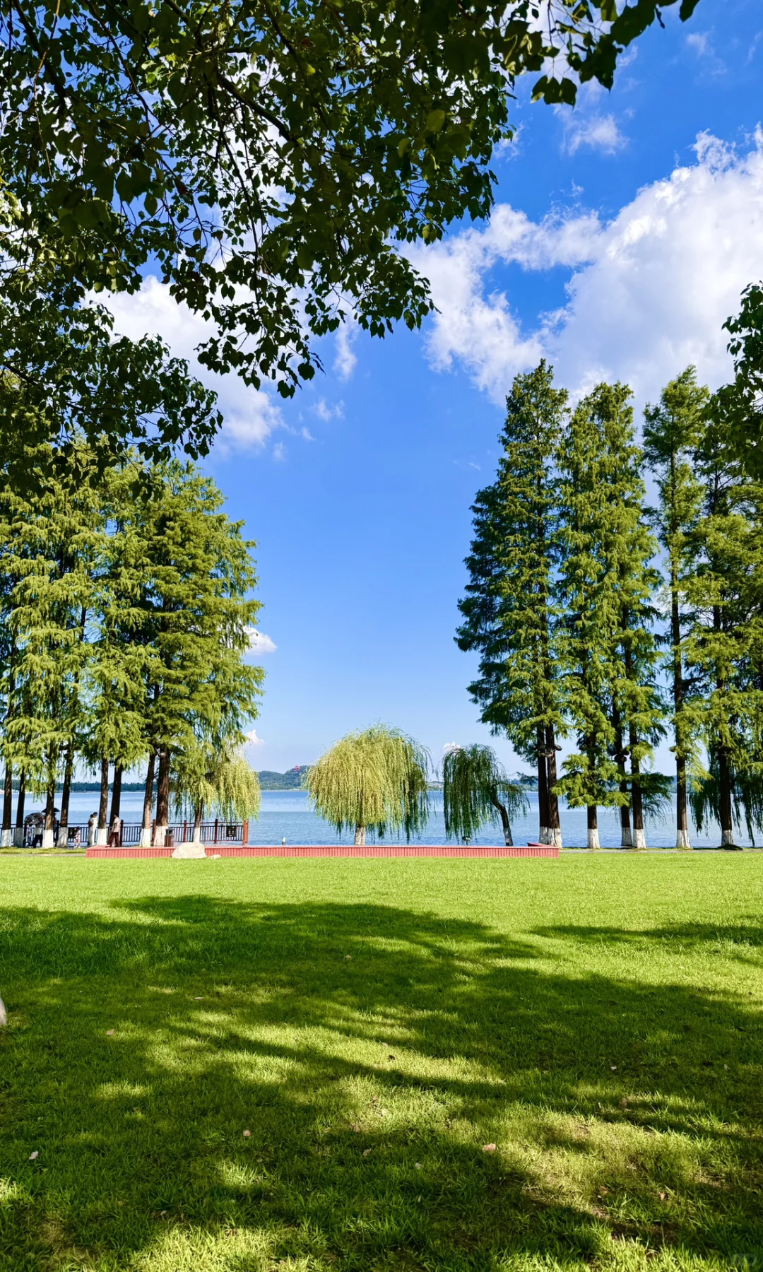 8.16实拍，亲测东湖听涛景区，游玩攻略已整理