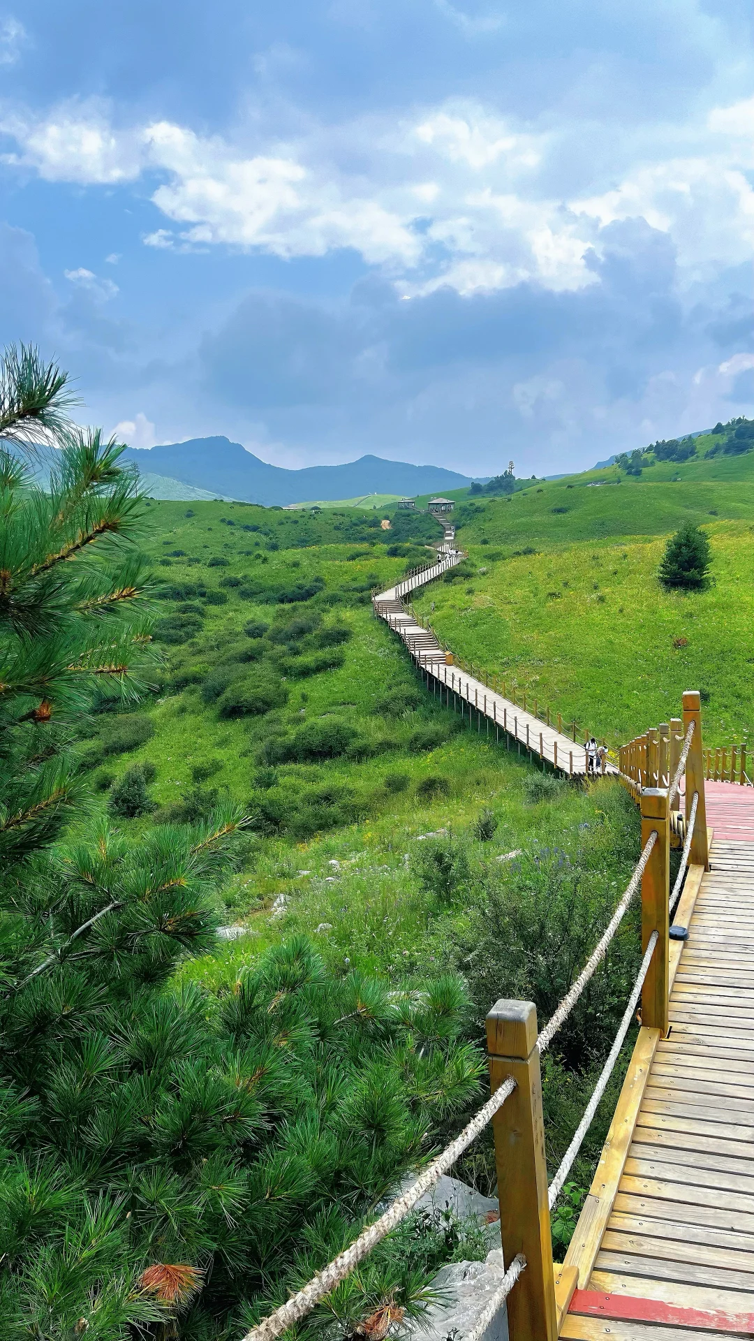 📍山西晋城 析城山 小阿勒泰