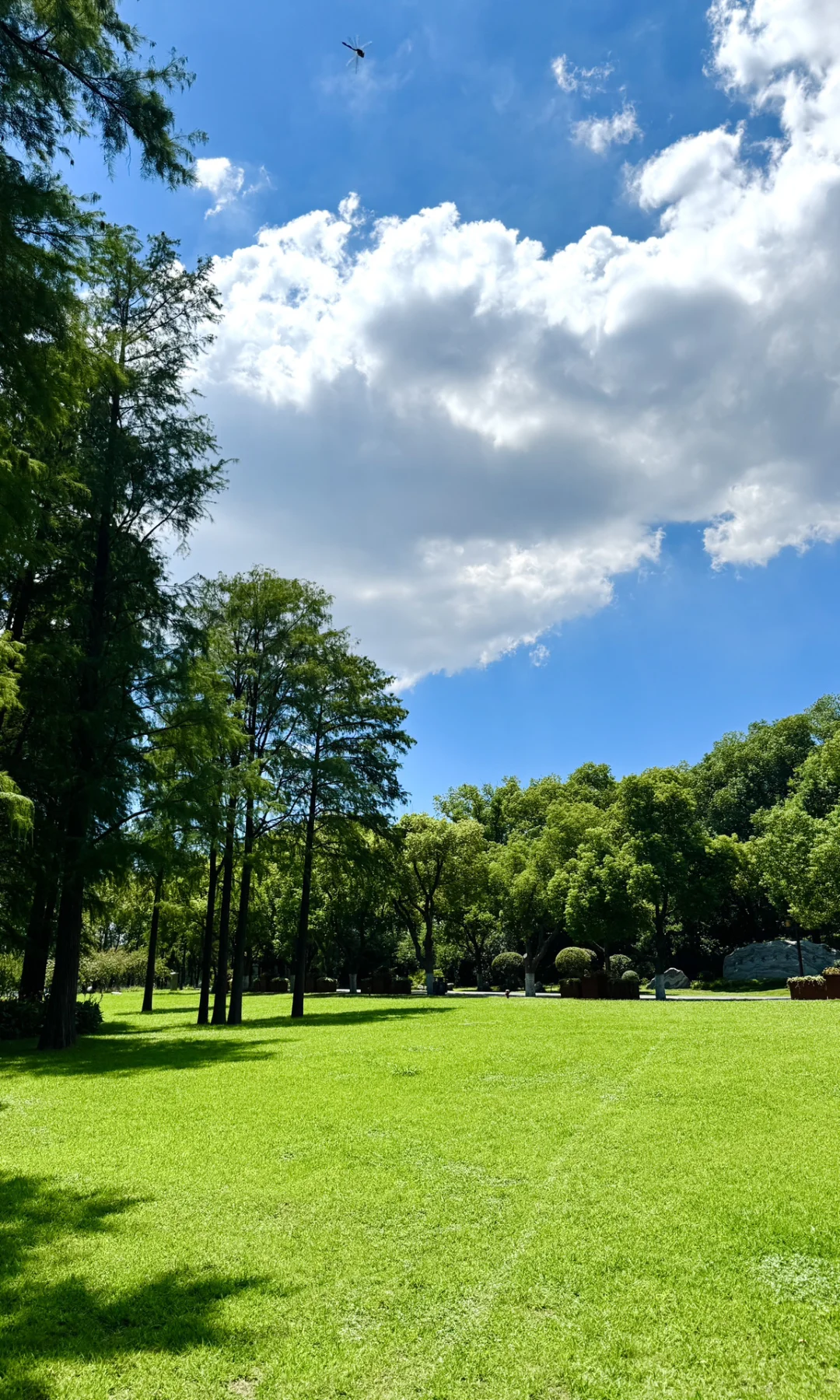 8.16实拍，亲测东湖听涛景区，游玩攻略已整理