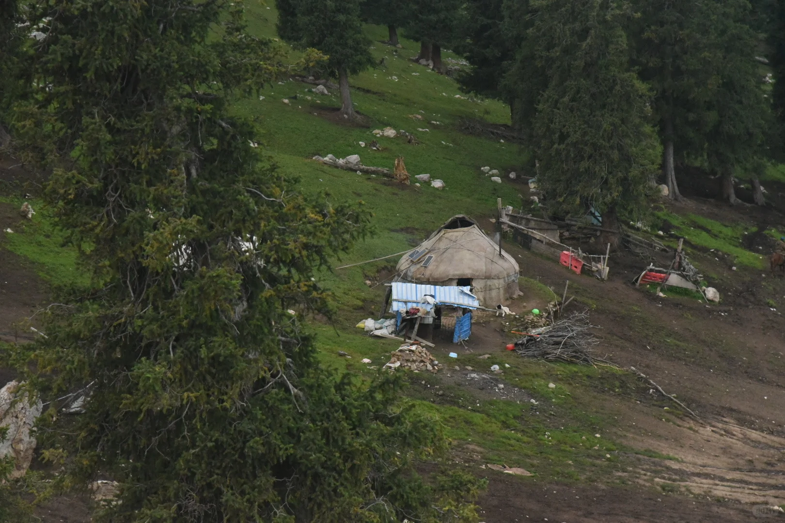 伊犁八天攻略|伊昭公路+夏塔篇