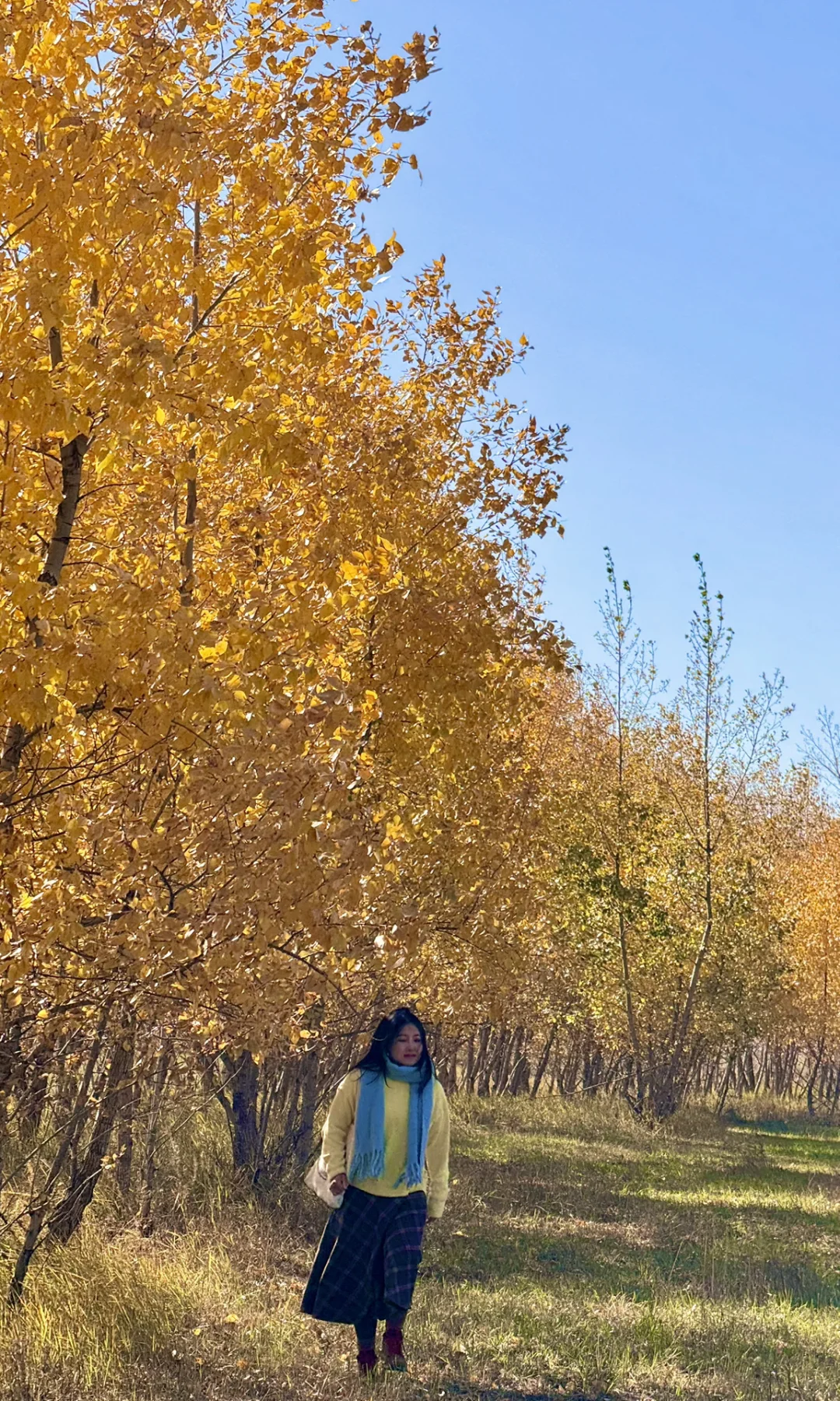 这是我见过人生最美的秋天🍂大兴安岭