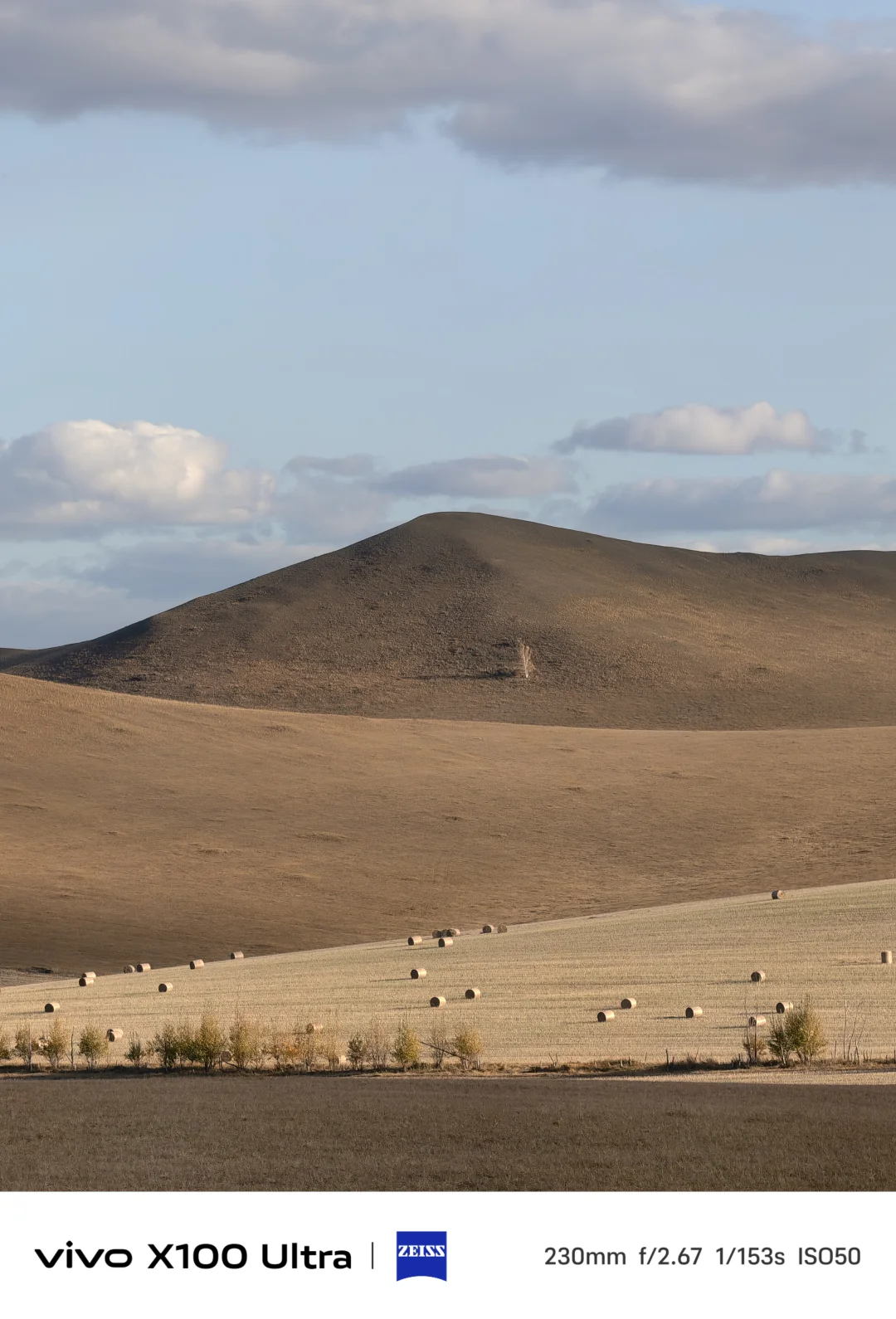 这是我见过人生最美的秋天🍂大兴安岭
