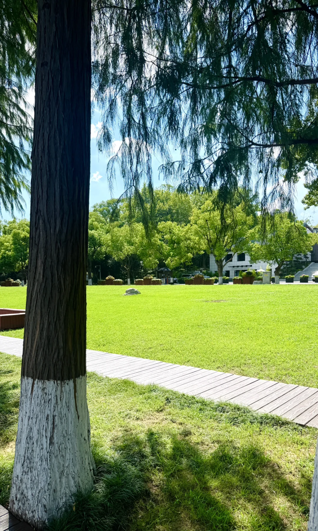 8.16实拍，亲测东湖听涛景区，游玩攻略已整理