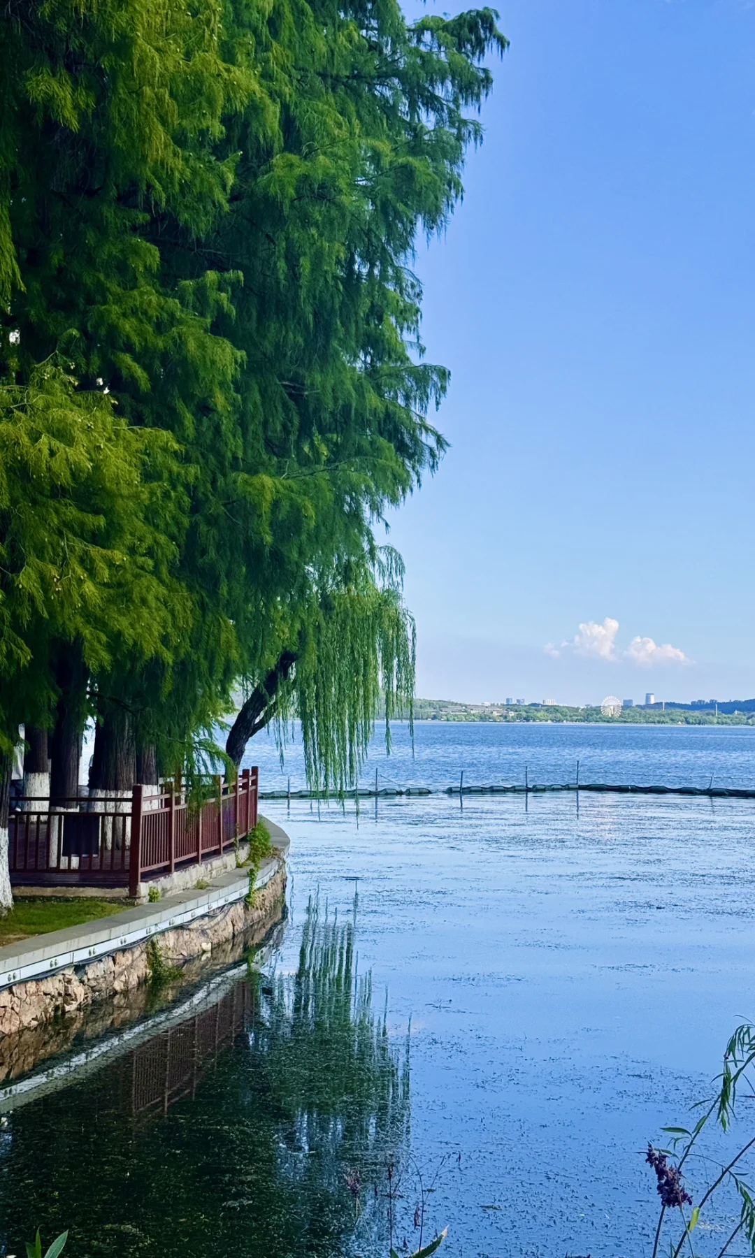 8.16实拍，亲测东湖听涛景区，游玩攻略已整理