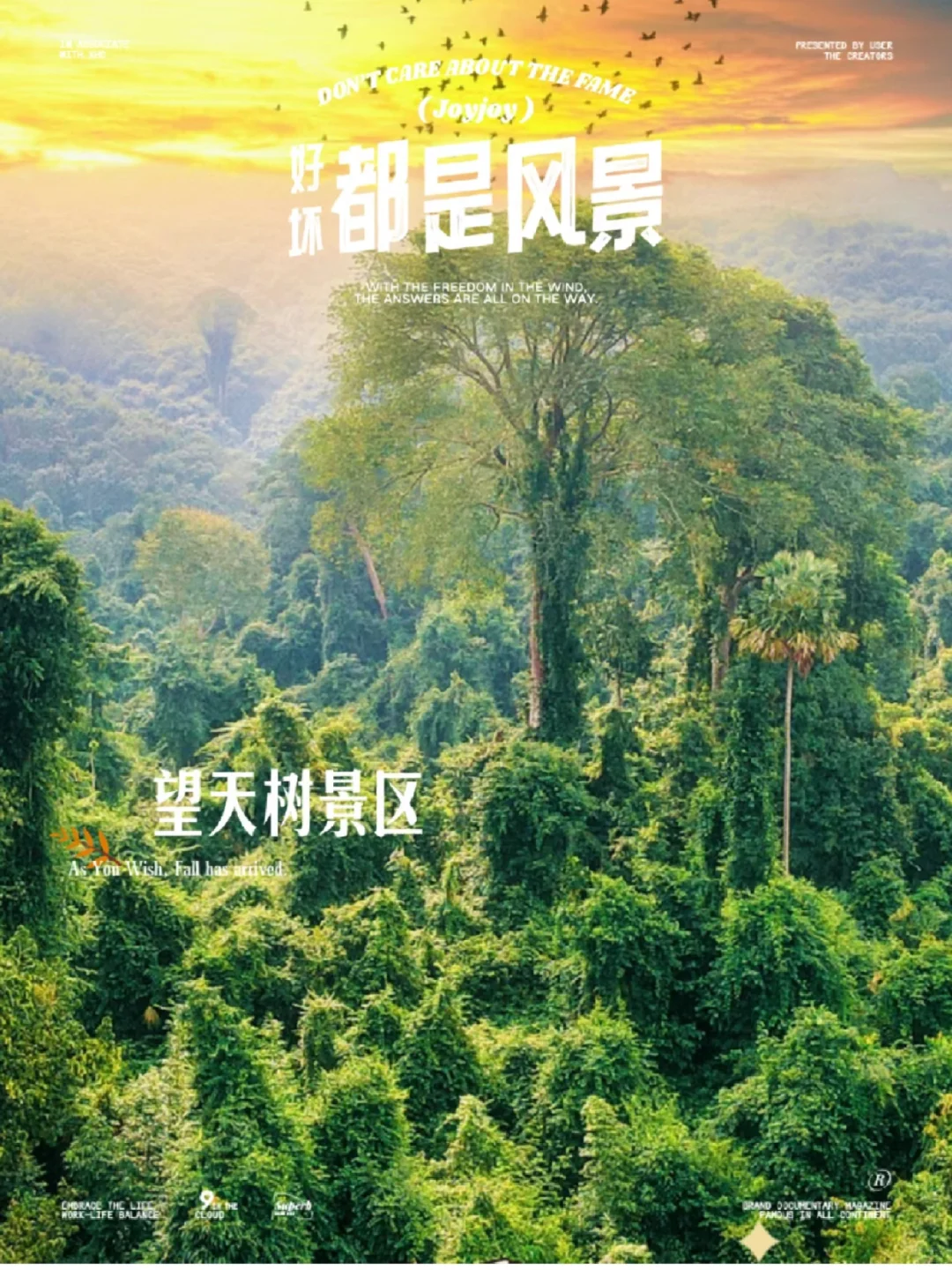 冲冲冲🌲望天树景区套票限时特惠预订