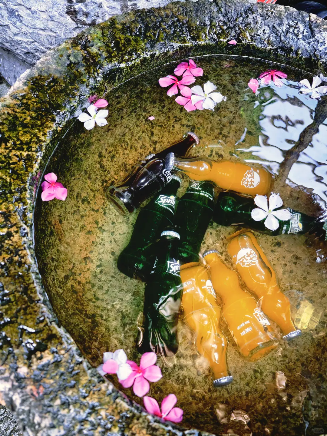 别再问我乌镇乌村亲子游怎么玩儿了，直接抄