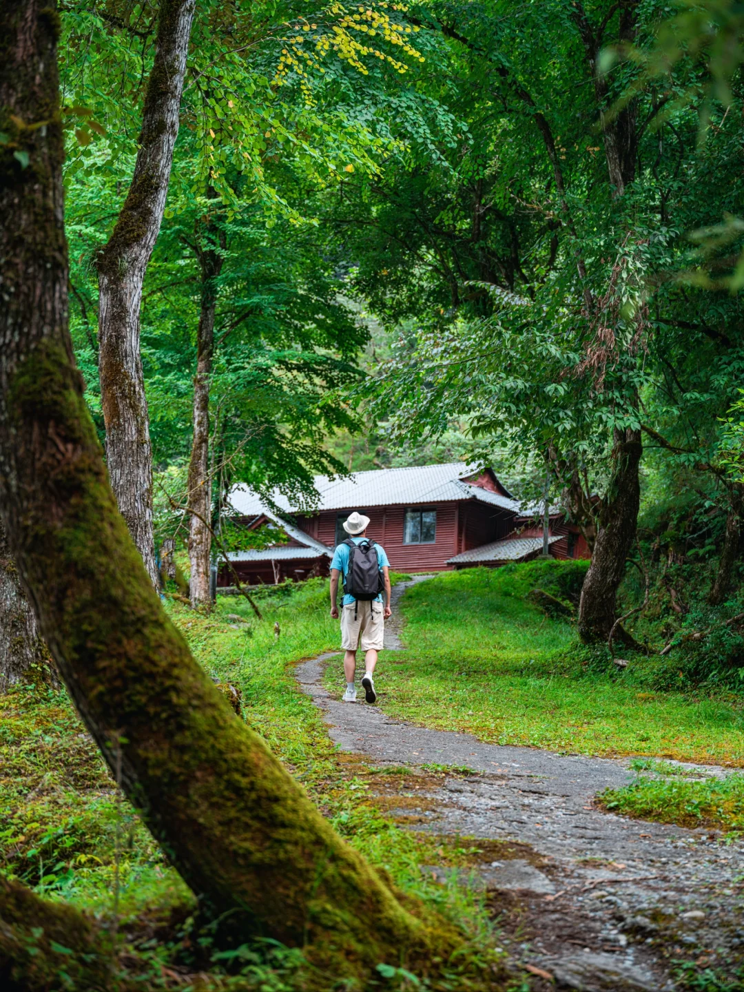 周末48H逃离成都!躲进23℃山里避暑徒步