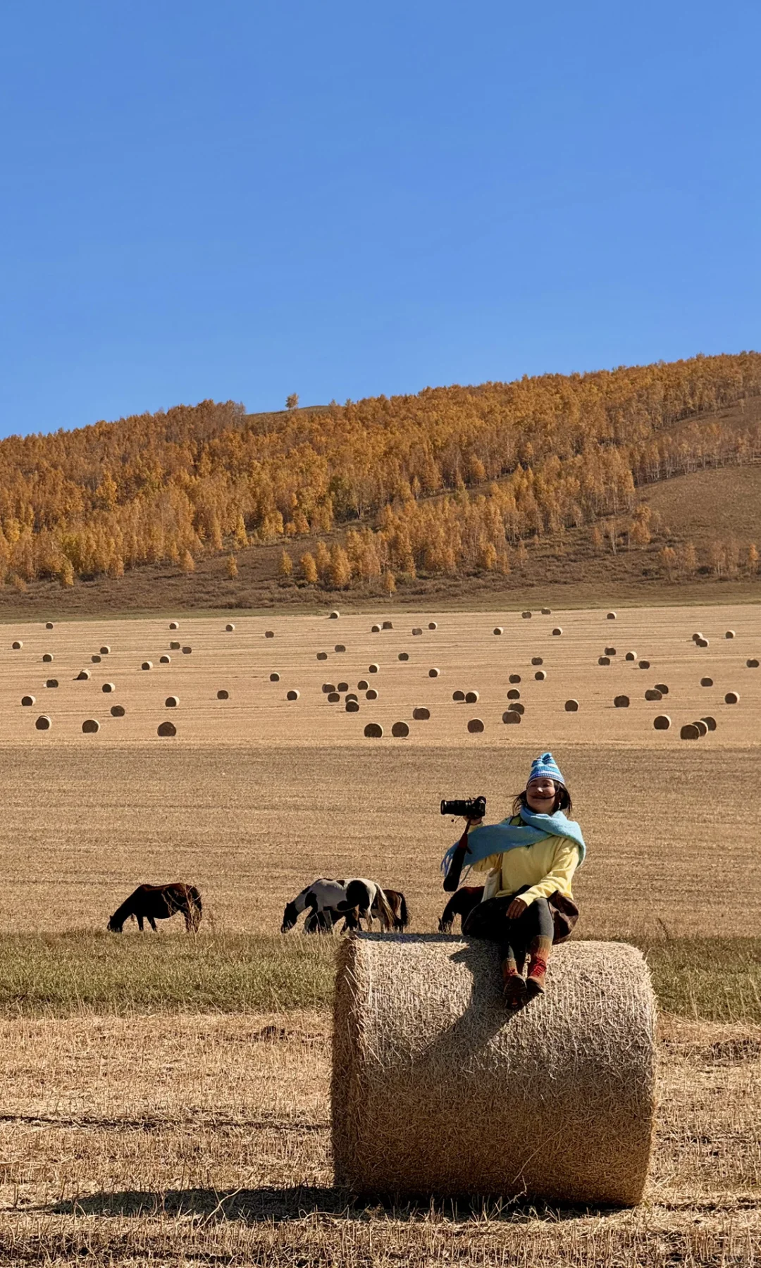 这是我见过人生最美的秋天🍂大兴安岭