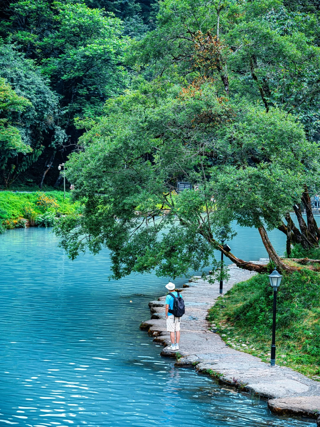 周末48H逃离成都!躲进23℃山里避暑徒步