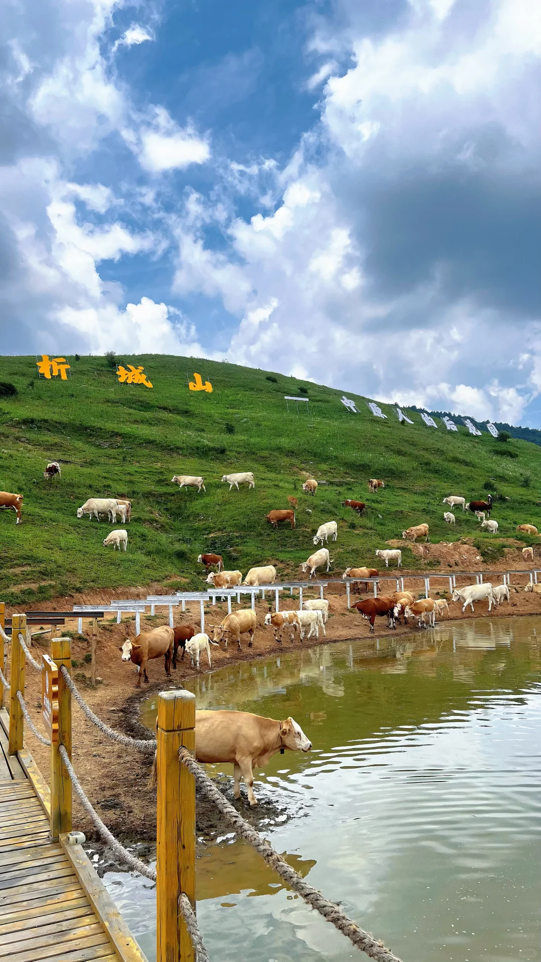 📍山西晋城 析城山 小阿勒泰