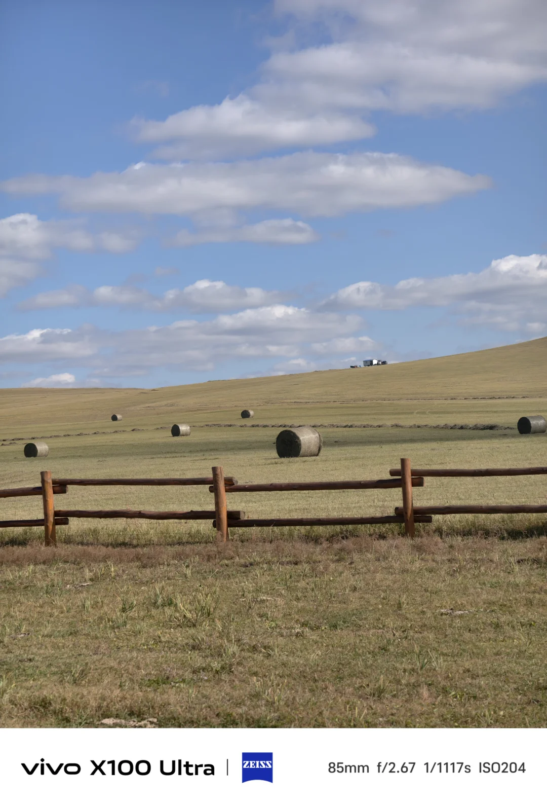 这是我见过人生最美的秋天🍂大兴安岭