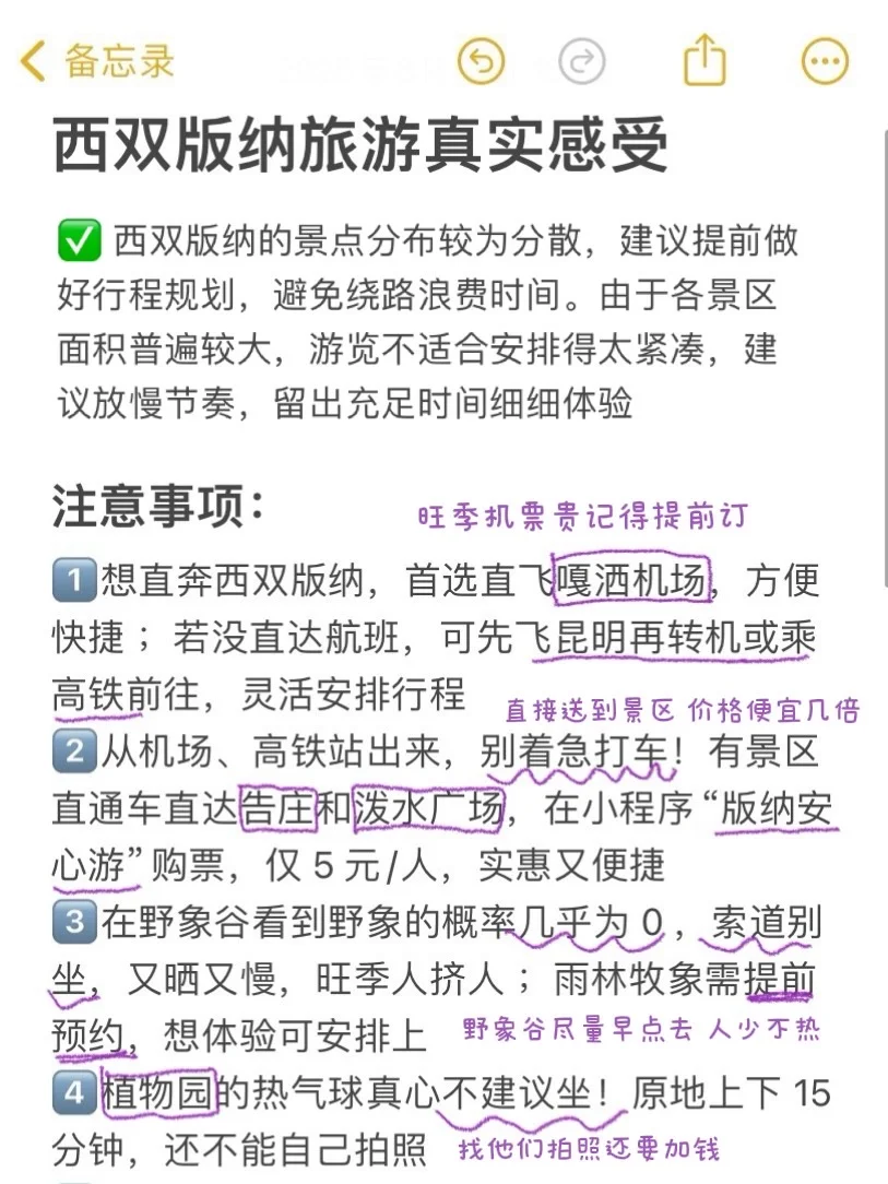 版纳旅游真实锐评（仅个人感受）免踩坑版