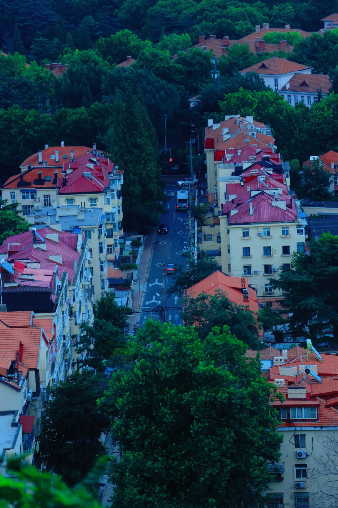 📸 青岛拍照必打卡｜信号山全景点攻略
