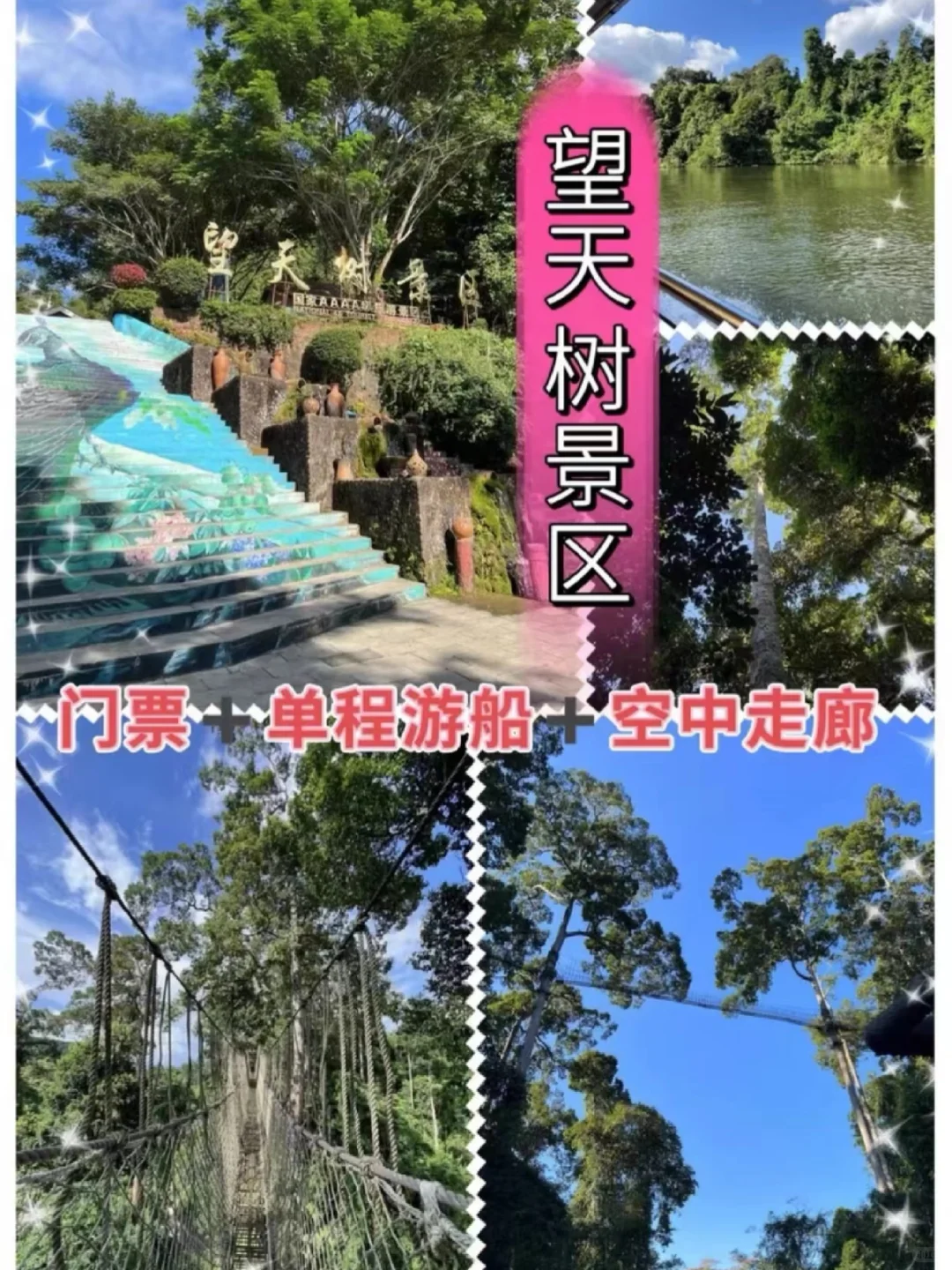 冲冲冲🌲望天树景区套票限时特惠预订