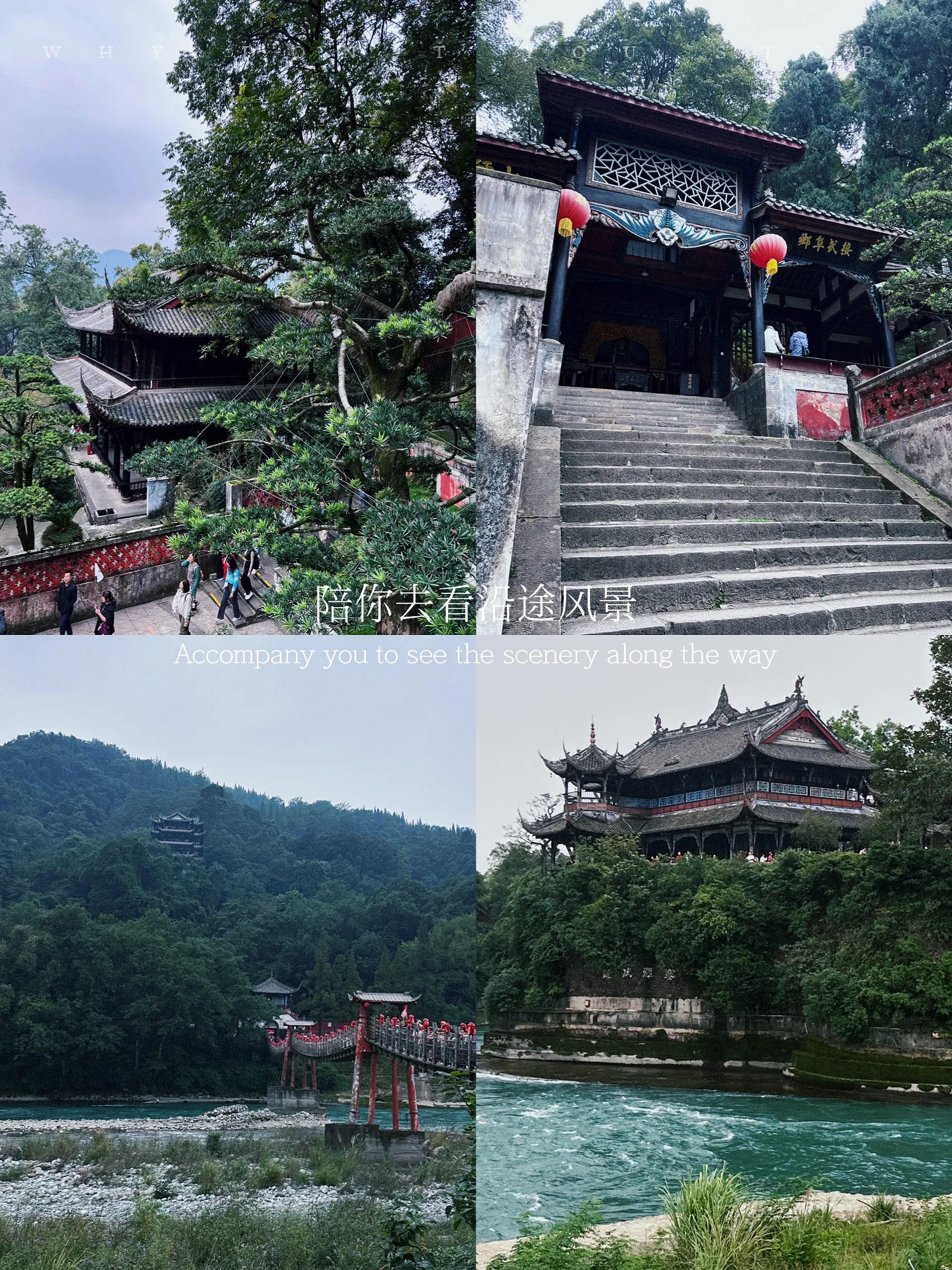 省心玩熊猫基地💧都江堰小团一日游🚘真纯玩