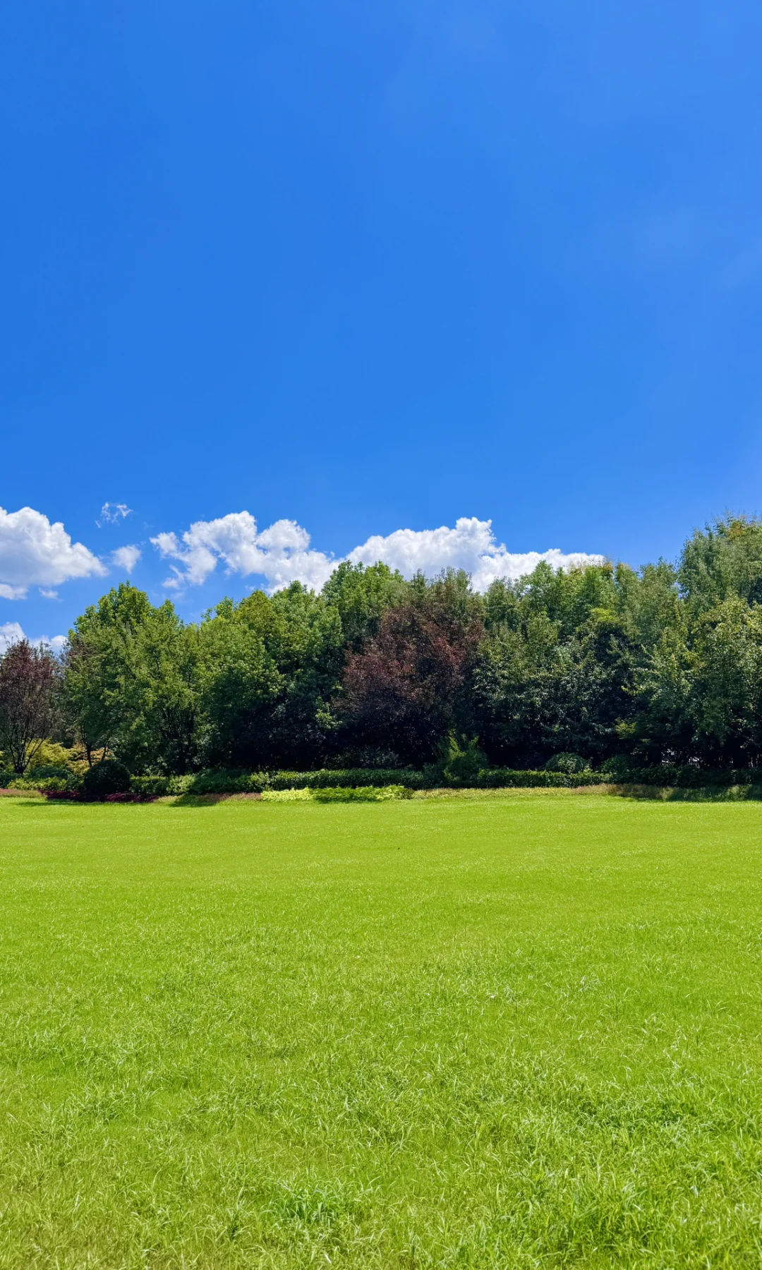 8.16实拍，亲测东湖听涛景区，游玩攻略已整理