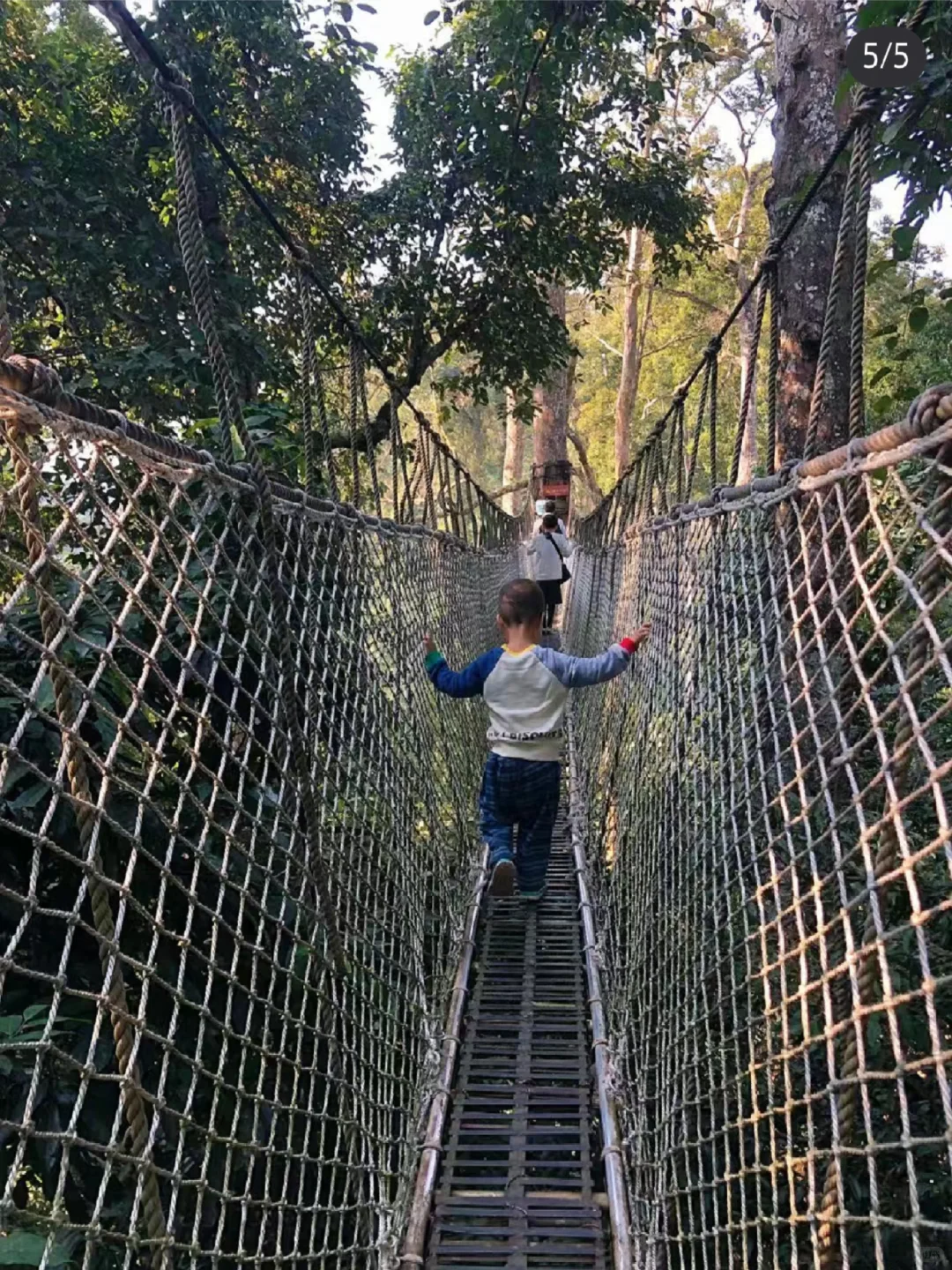 冲冲冲🌲望天树景区套票限时特惠预订