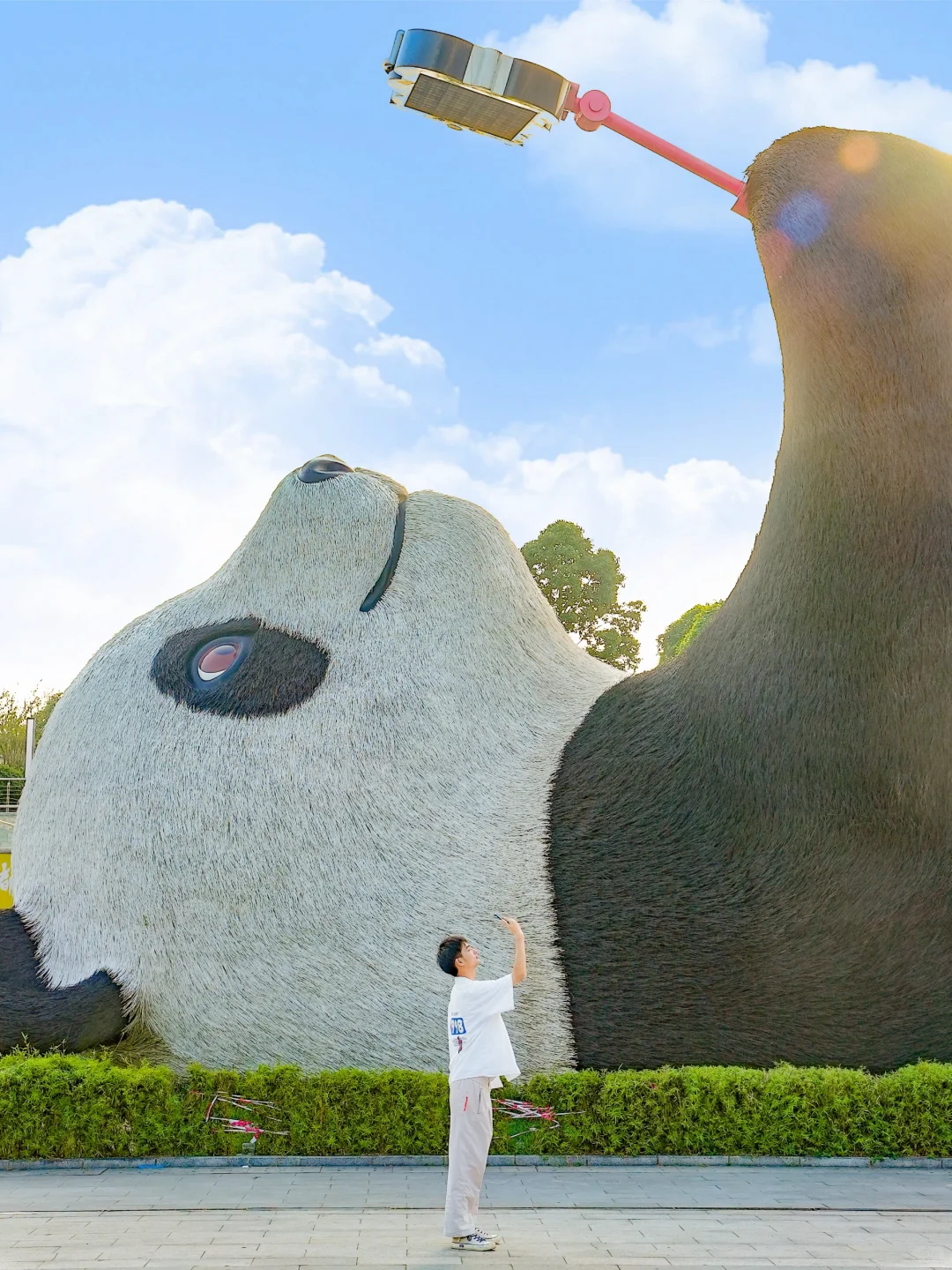 总要去趟都江堰吧,列入人生清单的山水小城