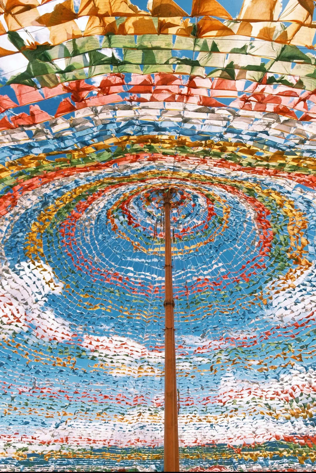 香格里拉一日游，人均100+玩转美景❗️