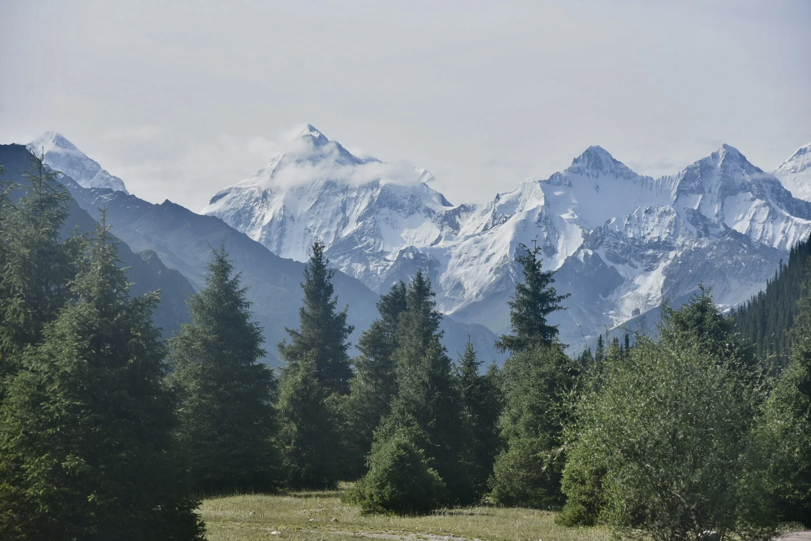 伊犁八天攻略｜伊昭公路+夏塔篇