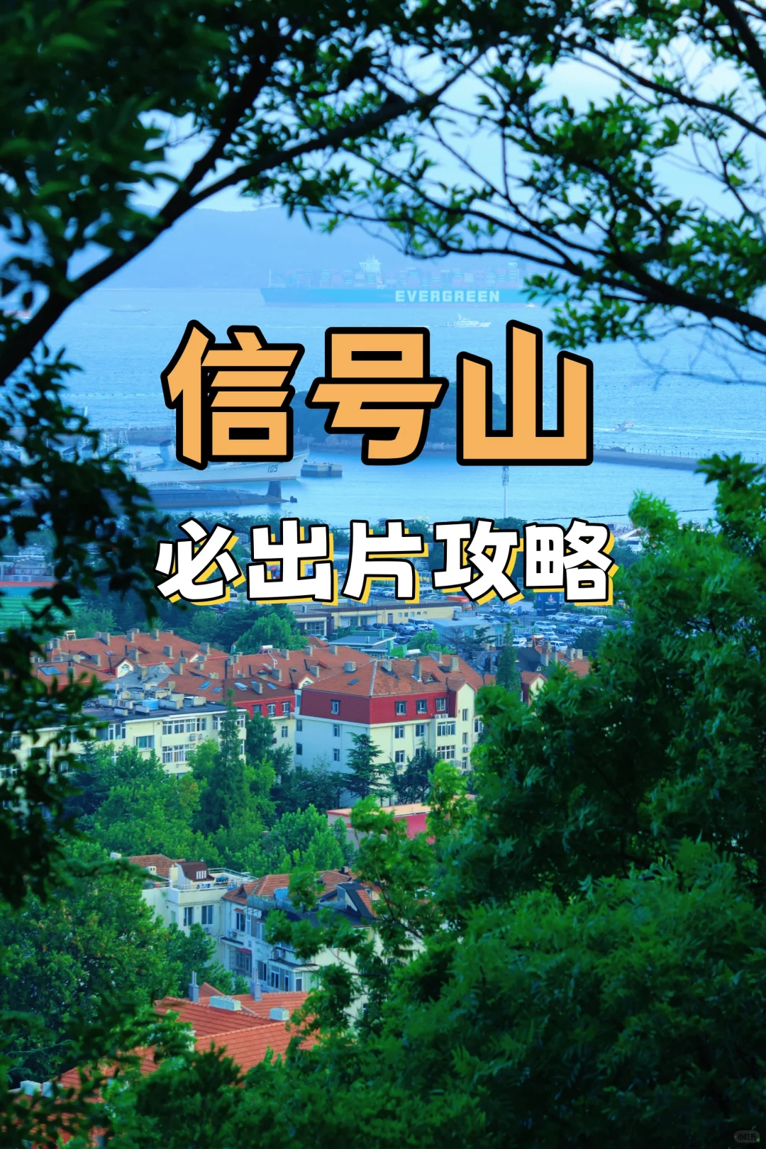 📸 青岛拍照必打卡｜信号山全景点攻略