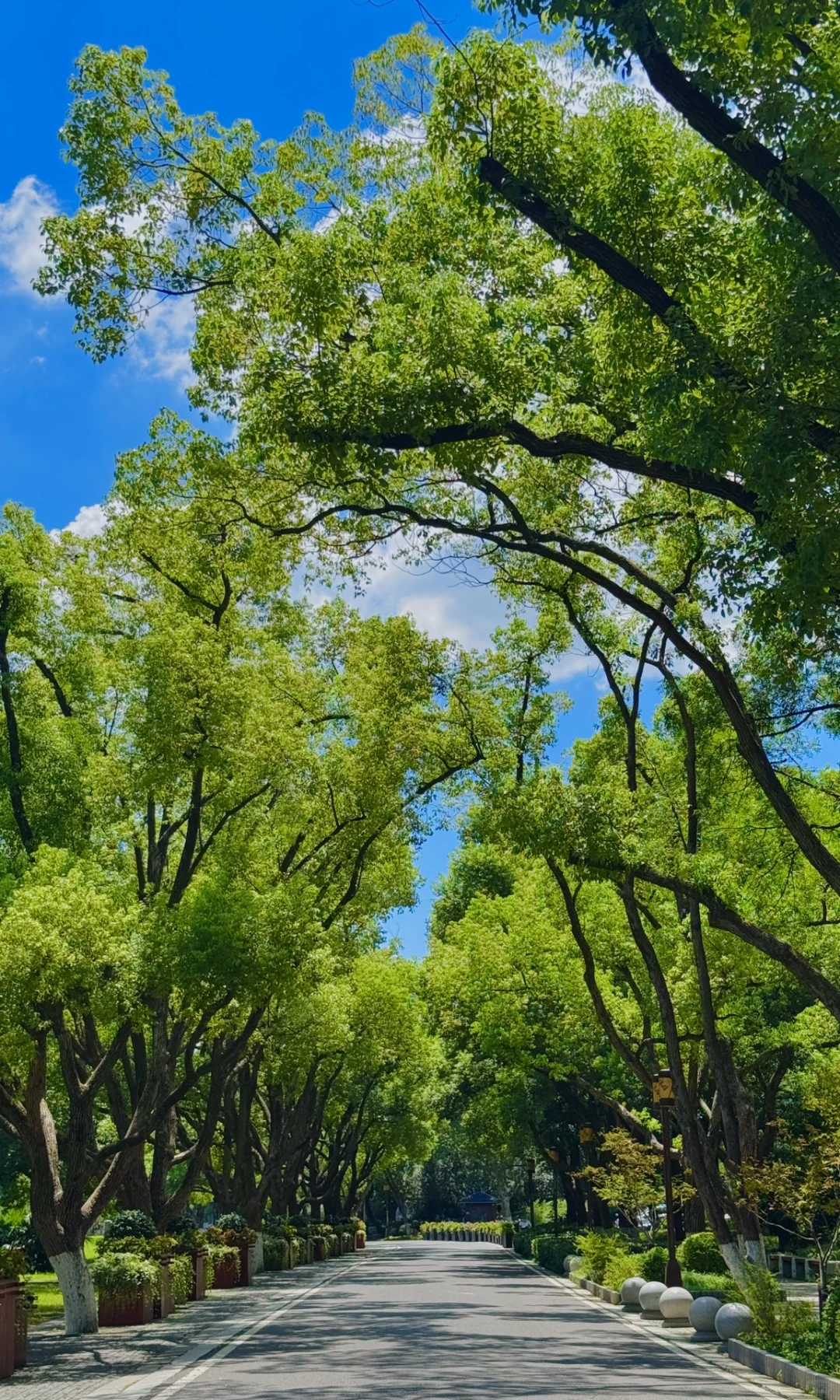 8.16实拍，亲测东湖听涛景区，游玩攻略已整理