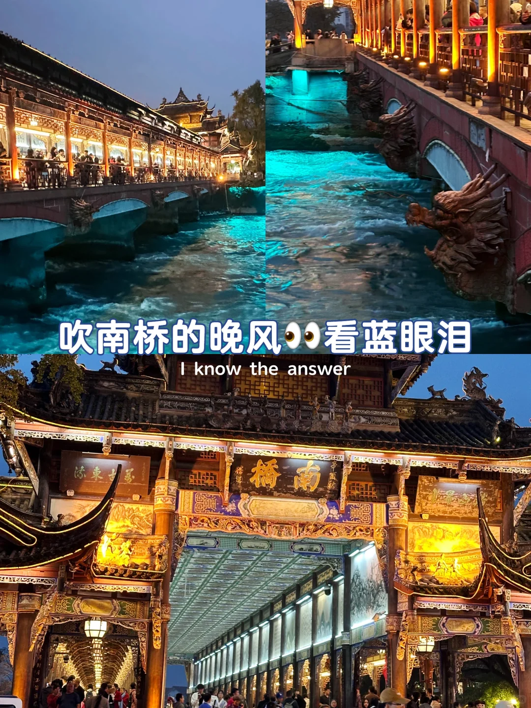 省心玩熊猫基地💧都江堰小团一日游🚘真纯玩