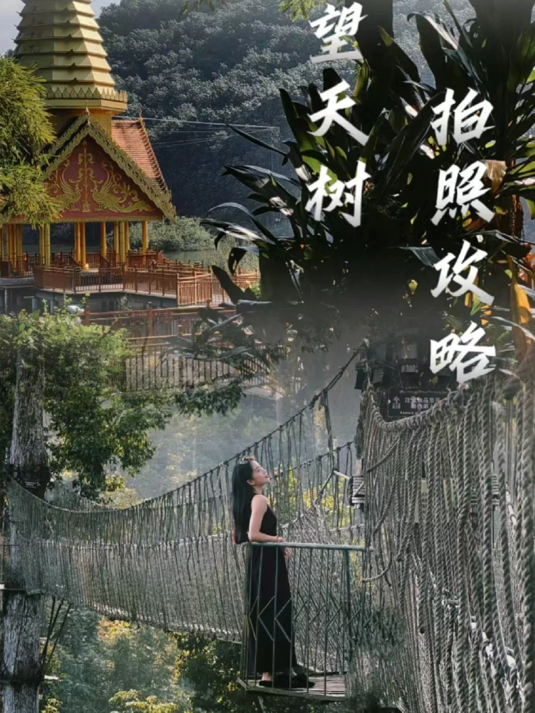 冲冲冲🌲望天树景区套票限时特惠预订