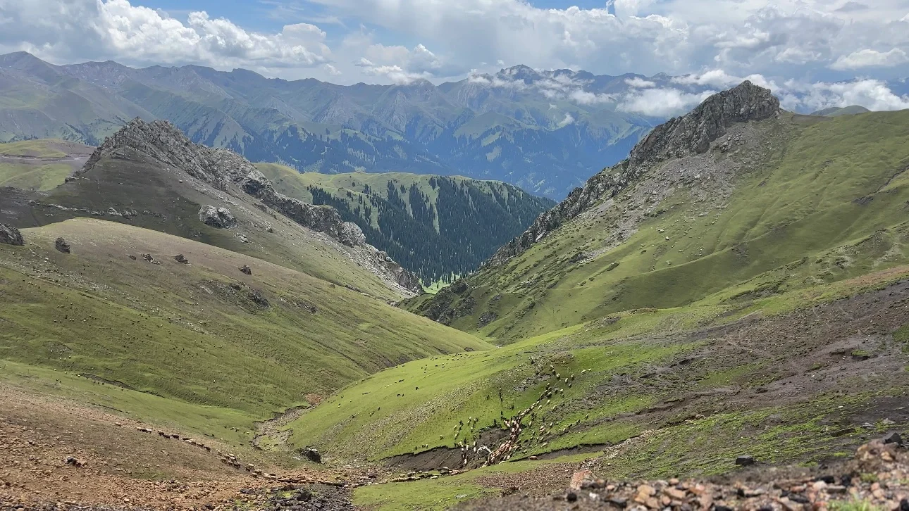 伊犁八天攻略｜伊昭公路+夏塔篇