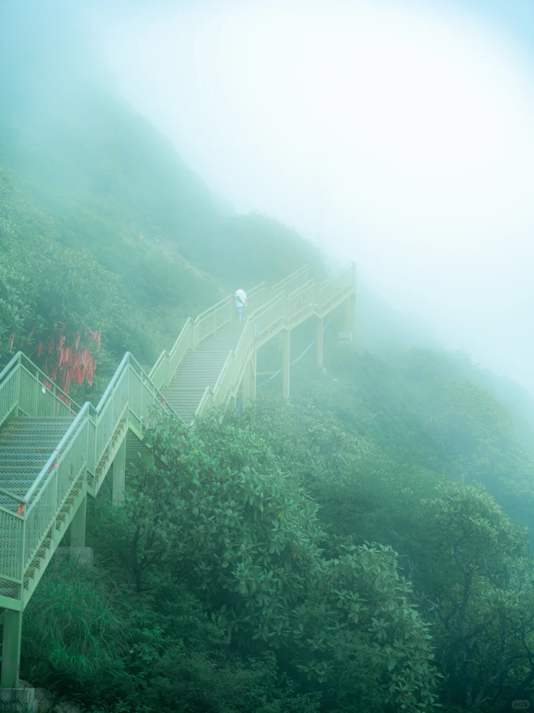 周末48H逃离成都!躲进23℃山里避暑徒步