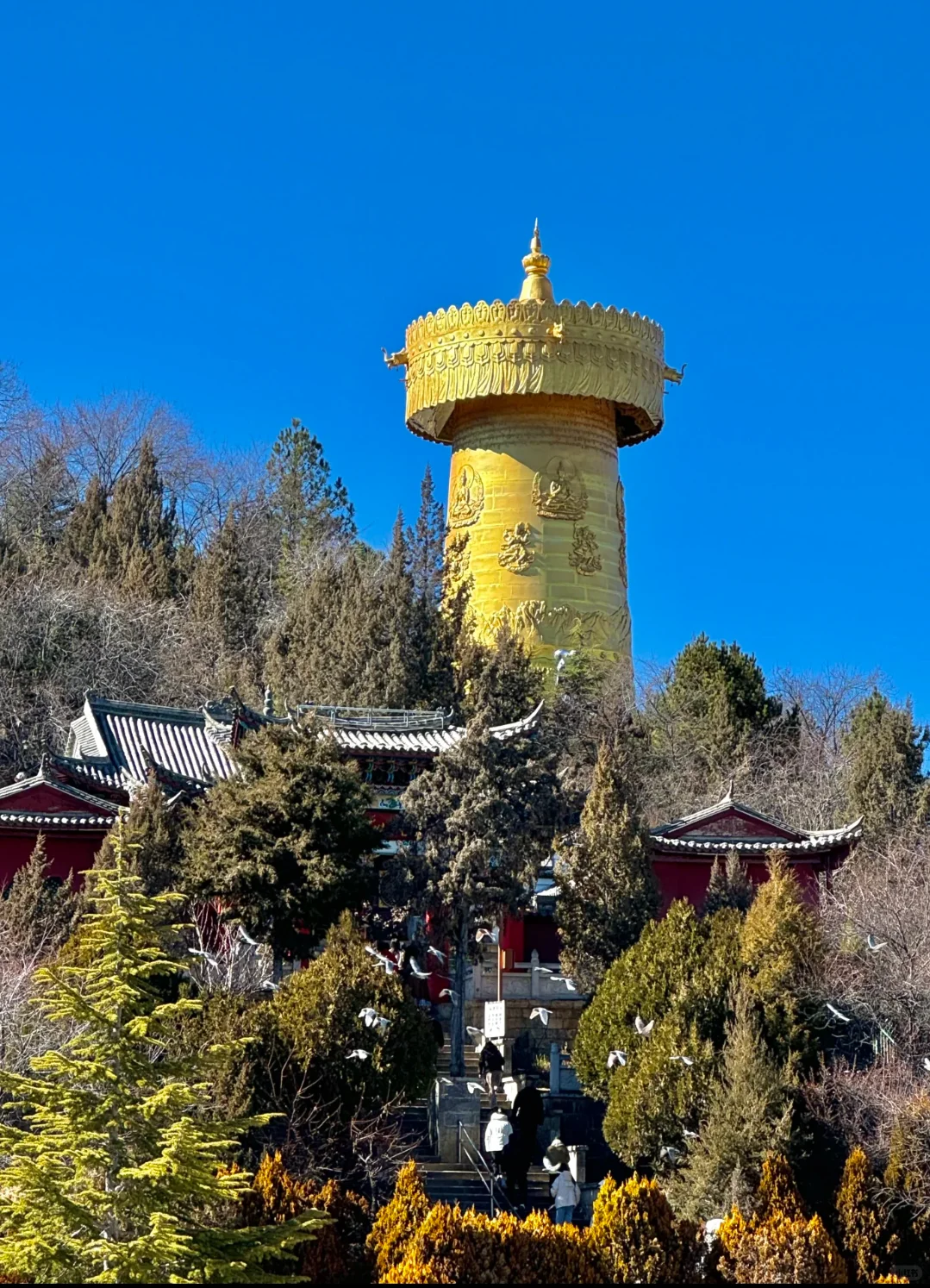 香格里拉一日游，人均100+玩转美景❗️