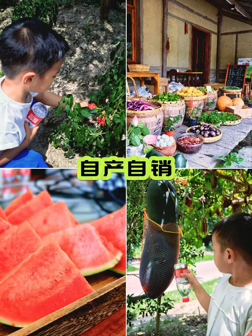 别再问我乌镇乌村亲子游怎么玩儿了，直接抄