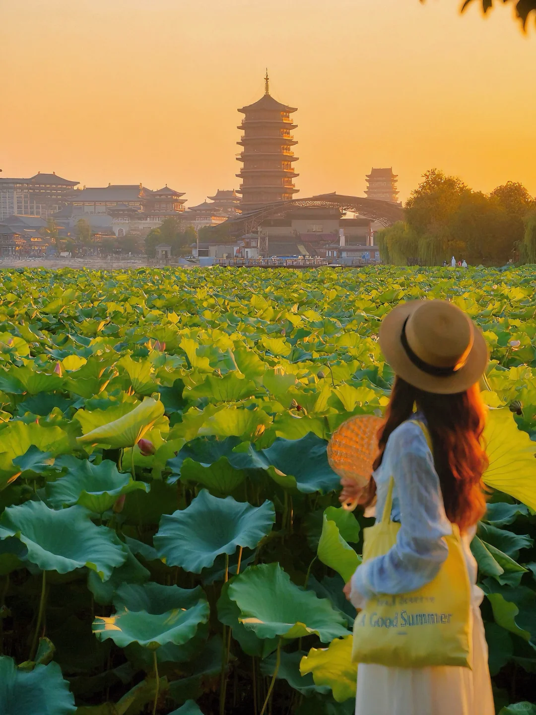 直接抄作业‼️来长沙要去完这12个地方再走😭