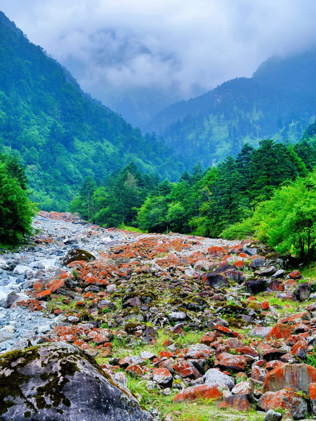 周末48H逃离成都!躲进23℃山里避暑徒步