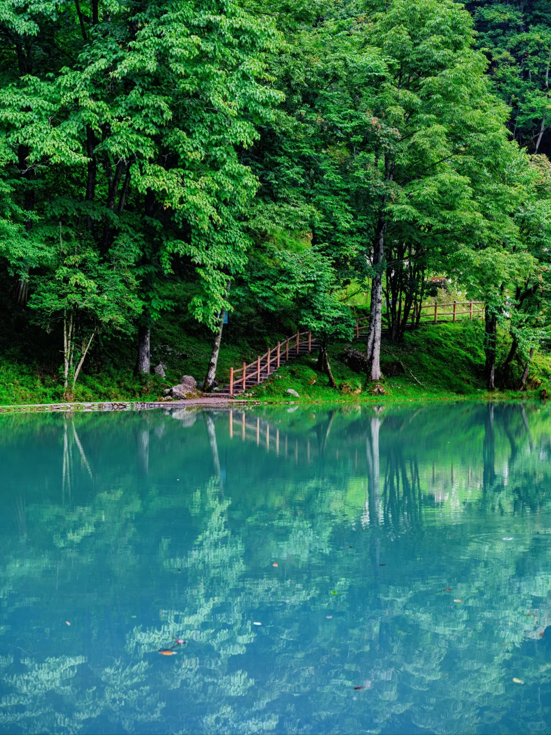 周末48H逃离成都!躲进23℃山里避暑徒步