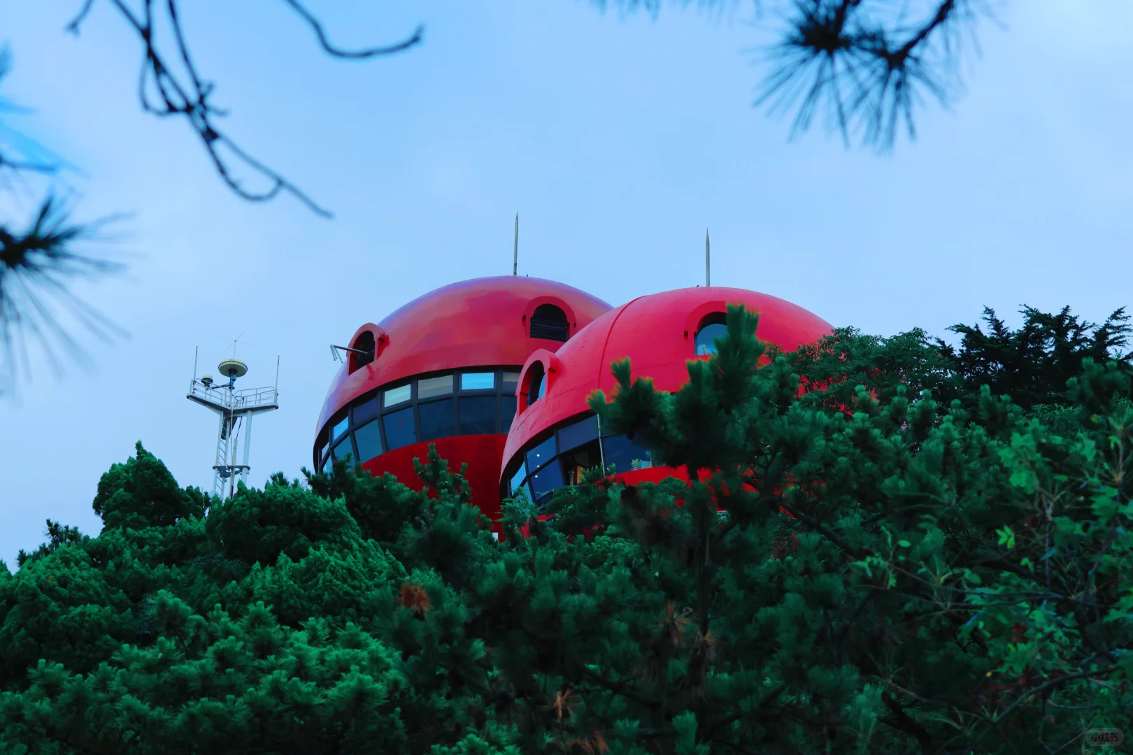 📸 青岛拍照必打卡｜信号山全景点攻略