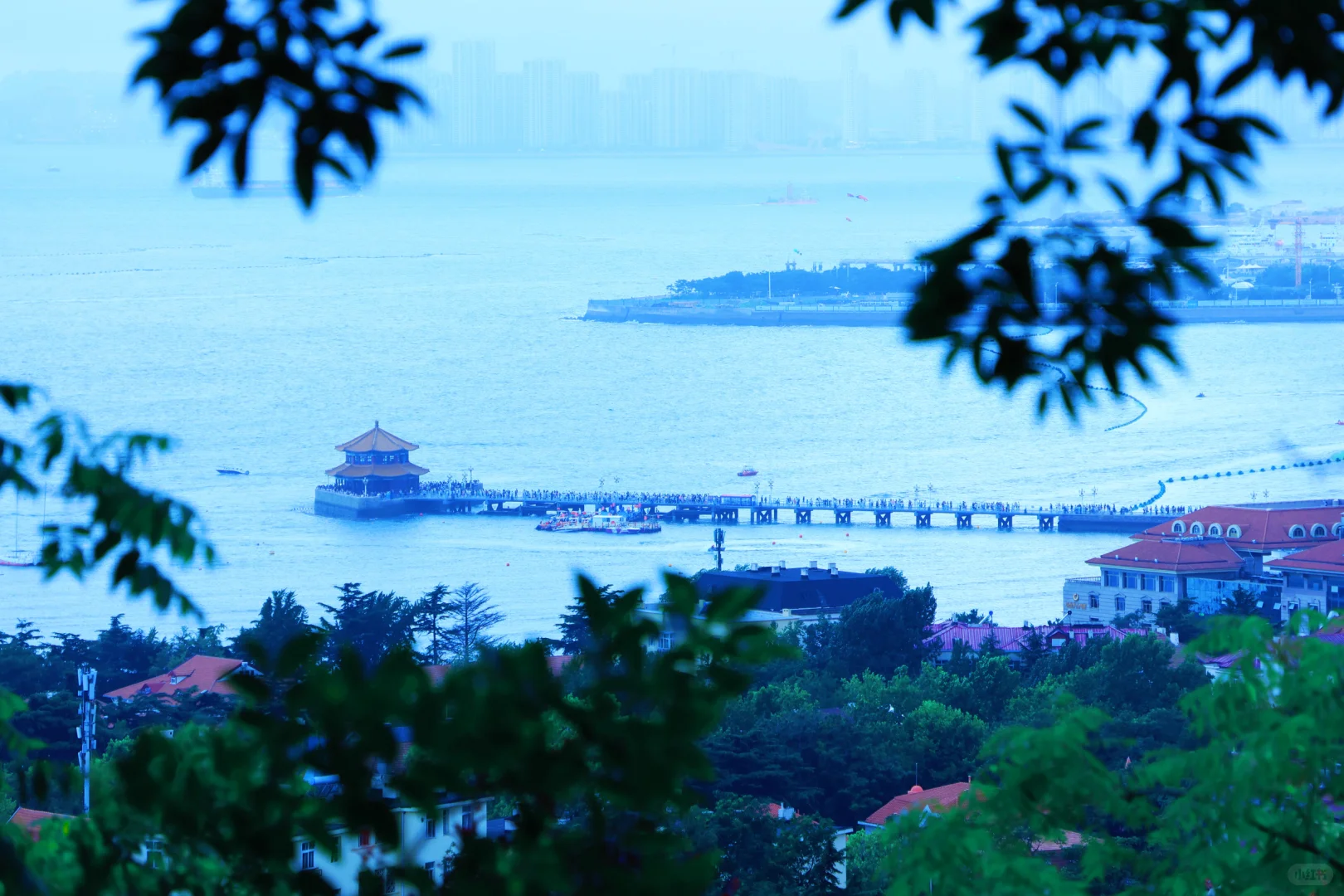 📸 青岛拍照必打卡｜信号山全景点攻略